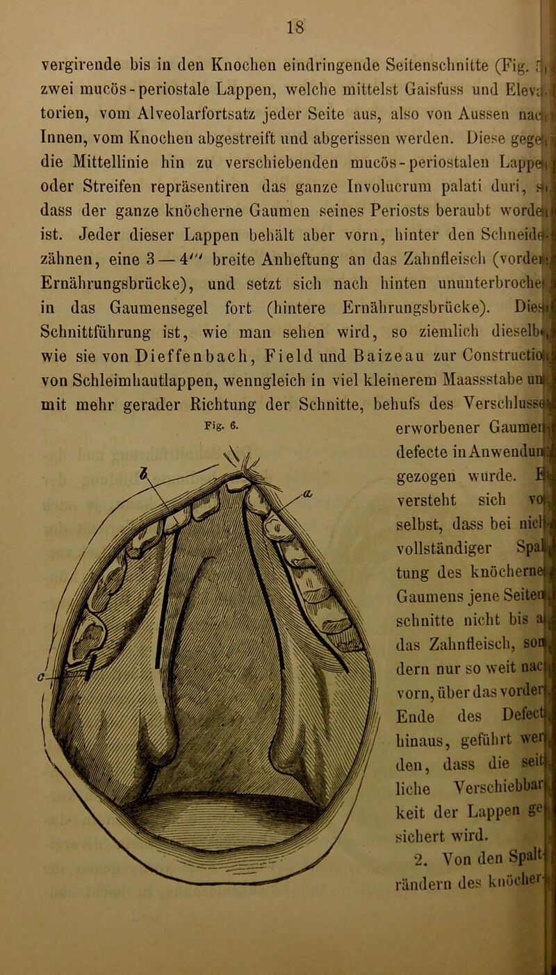 vergirende bis in den Knochen eindringende Seitenschnitte (Fig. d, J zwei mucös - periostale Lappen, welche mittelst Gaisfuss und ElevajJ torien, vom Alveolarfortsatz jeder Seite aus, also von Aussen nac|;| Innen, vom Knochen abgestreift und abgerissen werden. Diese gegefl j die Mittellinie hin zu verschiebenden mucös-periostalen Lappet oder Streifen repräsentiren das ganze Involucrum palati duri, stij dass der ganze knöcherne Gaumen seines Periosts beraubt wordetij ist. Jeder dieser Lappen behält aber vorn, hinter den Schneide- zähnen, eine 3 — 4' breite Anheftung an das Zahnfleisch (vordem Ernährungsbrücke), und setzt sich nach hinten ununterbroehei in das Gaumensegel fort (hintere Ernährungsbrücke). Dient» Schnittführung ist, wie man sehen wird, so ziemlich dieselb wie sie von Dieffenbach, Field und Baizeau zur Constructioi von Schleimhautlappen, wenngleich in viel kleinerem Maassstabe unt. mit mehr gerader Richtung der Schnitte, behufs des Verschluss« erworbener Gaumen defecte in Anwendung gezogen wurde. 3 versteht sich voi selbst, dass bei niclji vollständiger Spalj tung des knöcherne! Gaumens jene Seitei* schnitte nicht bis aj das Zahnfleisch, son dem nur so weit nae vorn, über das vorder Ende des Defect hinaus, geführt werj den, dass die seit ^ liehe Verschiebbai keit der Lappen ge sichert wird. 2. Von den Spalt rändern des knöcher |