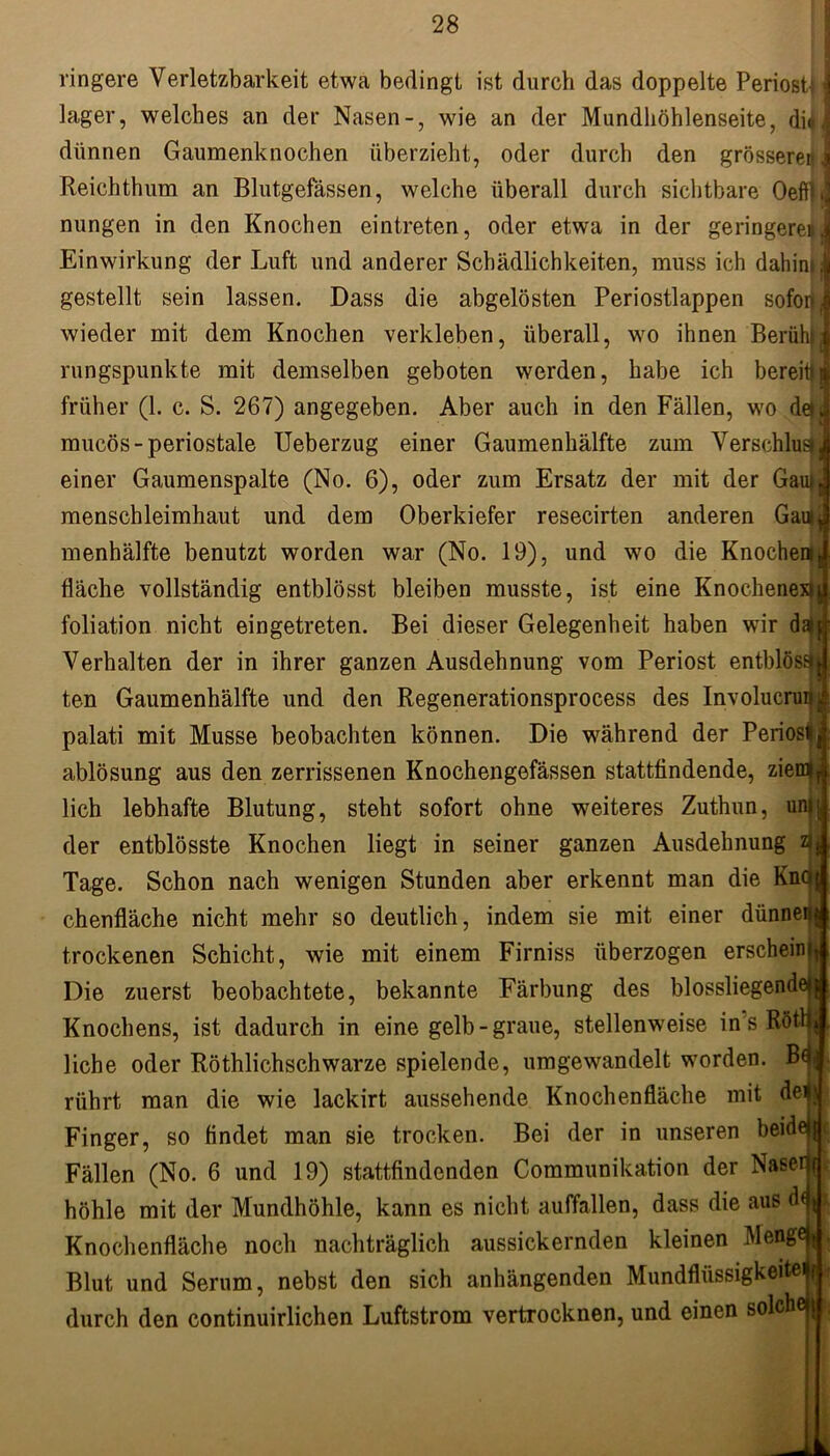 längere Verletzbarkeit etwa bedingt ist durch das doppelte Periost-} I lager, welches an der Nasen-, wie an der Mundhöhlenseite, diil dünnen Gaumenknochen überzieht, oder durch den grösserer- i Reichthum an Blutgefässen, welche überall durch sichtbare OeffjJ nungen in den Knochen eintreten, oder etwa in der geringeren i Einwirkung der Luft und anderer Schädlichkeiten, muss ich dahintl gestellt sein lassen. Dass die abgelösten Periostlappen sofort wieder mit dem Knochen verkleben, überall, wo ihnen Berühi rungspunkte mit demselben geboten werden, habe ich bereit» früher (1. c. S. 267) angegeben. Aber auch in den Fällen, wo de» mucös-periostale Ueberzug einer Gaumenhälfte zum Verschlug», einer Gaumenspalte (No. 6), oder zum Ersatz der mit der Gau», menschleimhaut und dem Oberkiefer resecirten anderen Gau^ menhälfte benutzt worden war (No. 19), und wo die Knochen, fläche vollständig entblösst bleiben musste, ist eine Knochenexlj foliation nicht eingetreten. Bei dieser Gelegenheit haben wir da/p Verhalten der in ihrer ganzen Ausdehnung vom Periost entblösaj ten Gaumenhälfte und den Regenerationsprocess des Involucrunj palati mit Müsse beobachten können. Die während der Periost ablösung aus den zerrissenen Knochengefässen stattfindende, ziem», lieh lebhafte Blutung, steht sofort ohne weiteres Zuthun, uni der entblösste Knochen liegt in seiner ganzen Ausdehnung a Tage. Schon nach wenigen Stunden aber erkennt man die Kno chenfläche nicht mehr so deutlich, indem sie mit einer dünne»» trockenen Schicht, wie mit einem Firniss überzogen erschein Die zuerst beobachtete, bekannte Färbung des blossliegend Knochens, ist dadurch in eine gelb-graue, stellenweise in s Rötl liehe oder Röthlichschwarze spielende, umgewandelt worden. Bo rührt man die wie lackirt aussehende Knochenfläche mit dei Finger, so findet man sie trocken. Bei der in unseren beidej Fällen (No. 6 und 19) stattfindenden Communikation der Nasenf höhle mit der Mundhöhle, kann es nicht auffallen, dass die aus d»jji Knochenfläche noch nachträglich aussickernden kleinen Menge», Blut und Serum, nebst den sich anhängenden Mundfliissigkeite durch den continuirlichen Luftstrom vertrocknen, und einen solche |