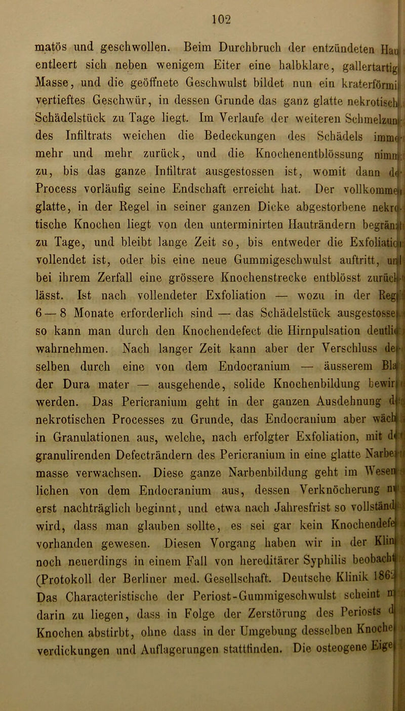 matös und geschwollen. Beim Durchbruch der entzündeten Hau entleert sich neben wenigem Eiter eine halbklare, gallertartig! Masse, und die geöffnete Geschwulst bildet nun ein kraterförmbi vertieftes Geschwür, in dessen Grunde das ganz glatte nekrotisch Schädelstück zu Tage liegt. Im Verlaufe der weiteren Schmelzung; des Infiltrats weichen die Bedeckungen des Schädels immo-r mehr und mehr zurück, und die Knochenentbiössung nimm; bis das ganze Infiltrat ausgestossen ist, womit dann d<fij zu Process vorläufig seine Endschaft erreicht hat. Der vollkommen j glatte, in der Regel in seiner ganzen Dicke abgestorbene nekro- tische Knochen liegt von den unterminirten Hauträndern begründ zu Tage, und bleibt lange Zeit so, bis entweder die Exfoliatick vollendet ist, oder bis eine neue Gummigeschwulst auftritt, uni bei ihrem Zerfall eine grössere Knochenstrecke entblösst. zurück lässt. Ist nach vollendeter Exfoliation — wozu in der Regp 6 — 8 Monate erforderlich sind — das Schädelstück ausgestosseM so kann man durch den Knochendefect die Hirnpulsation deutliti:j wahrnehmen. Nach langer Zeit kann aber der Verschluss def-l selben durch eine von dem Endocranium — äusserem Bla der Dura mater — ausgehende, solide Knochenbildung bewirj4 werden. Das Pericranium geht in der ganzen Ausdehnung d,::; nekrotischen Processes zu Grunde, das Endocranium aber wäcbj i in Granulationen aus, welche, nach erfolgter Exfoliation, mit d<| tj granulirenden Defecträndern des Pericranium in eine glatte Narberj masse verwachsen. Diese ganze Narbenbildung geht im WeseuH liehen von dem Endocranium aus, dessen Verknöcherung nt| : erst nachträglich beginnt, und etwa nach Jahresfrist so vollstanilf i wird, dass man glauben sollte, es sei gar kein Knochendefej i vorhanden gewesen. Diesen Vorgang haben wir in der Klini j noch neuerdings in einem Fall von hereditärer Syphilis beobacht (Protokoll der Berliner med. Gesellschaft. Deutsche Klinik 186: Das Characteristische der Periost-Gummigeschwulst scheint n darin zu liegen, dass in Folge der Zerstörung des Periosts d Knochen abstirbt, ohne dass in der Umgebung desselben Knoche Verdickungen und Auflagerungen statttinden. Die osteogene Eige t