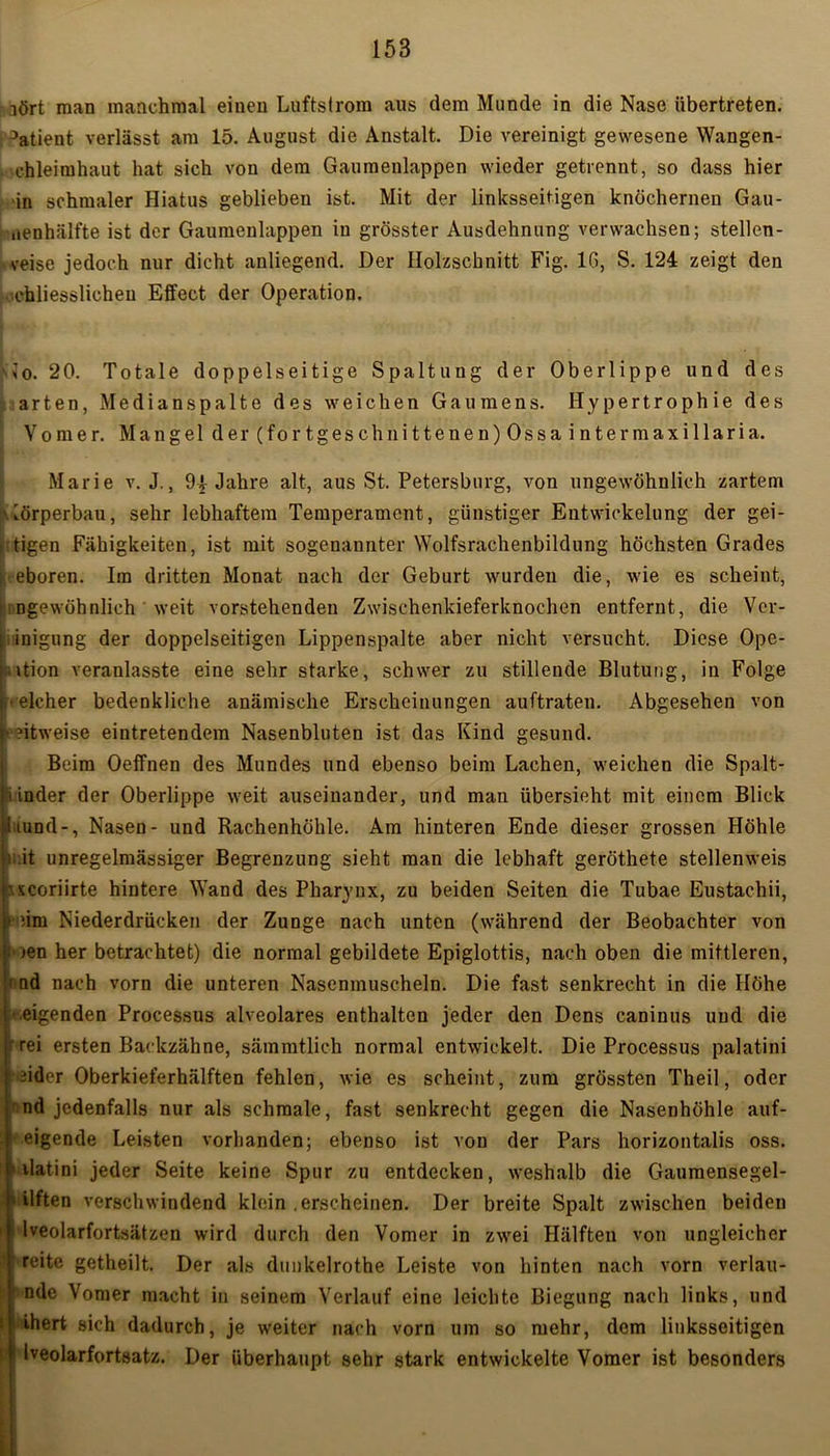 üört man manchmal einen Luftstrom aus dem Munde in die Nase übertreten. 3atient verlässt am 15. August die Anstalt. Die vereinigt gewesene Wangen- . chleimhaut hat sich von dem Gaumenlappen wieder getrennt, so dass hier in schmaler Hiatus geblieben ist. Mit der linksseitigen knöchernen Gau- nenhälfte ist der Gaumenlappen in grösster Ausdehnung verwachsen; stellen - veise jedoch nur dicht anliegend. Der Holzschnitt Fig. 16, S. 124 zeigt den chliesslichen Effect der Operation. •Go. 20. Totale doppelseitige Spaltung der Oberlippe und des arten, Medianspalte des weichen Gaumens. Hypertrophie des Vom er. Mangel der(fortgeschnittenen)Ossaintermaxillaria. Marie v. J., 9^ Jahre alt, aus St. Petersburg, von ungewöhnlich zartem ; lörperbau, sehr lebhaftem Temperament, günstiger Entwickelung der gei- tigen Fähigkeiten, ist mit sogenannter Wolfsrachenbildung höchsten Grades eboren. Im dritten Monat nach der Geburt wurden die, wie es scheint, Ungewöhnlich weit vorstehenden Zwischenkieferknochen entfernt, die Ver- ! inigung der doppelseitigen Lippenspalte aber nicht versucht. Diese Ope- iition veranlasste eine sehr starke, schwer zu stillende Blutung, in Folge ■ elcher bedenkliche anämische Erscheinungen auftraten. Abgesehen von ütweise eintretendem Nasenbluten ist das Kind gesund. Beim Oeffnen des Mundes und ebenso beim Lachen, weichen die Spalt- i inder der Oberlippe weit auseinander, und man übersieht mit einem Blick liund-, Nasen- und Rachenhöhle. Am hinteren Ende dieser grossen Höhle i it unregelmässiger Begrenzung sieht man die lebhaft geröthete stellenweis ■txcoriirte hintere Wand des Pharynx, zu beiden Seiten die Tubae Eustachii, t ;im Niederdrücken der Zunge nach unten (während der Beobachter von ioen her betrachtet) die normal gebildete Epiglottis, nach oben die mittleren, 1 nd nach vorn die unteren Nasenmuscheln. Die fast senkrecht in die Höhe • eigenden Processus alveolares enthalten jeder den Dens caniuus und die f rei ersten Backzähne, sämmtlich normal entwickelt. Die Processus palatini dder Oberkieferhälften fehlen, wie es scheint, zum grössten Theil, oder ’ nd jedenfalls nur als schmale, fast senkrecht gegen die Nasenhöhle auf- • eigende Leisten vorhanden; ebenso ist von der Pars horizontalis oss. ’ datini jeder Seite keine Spur zu entdecken, weshalb die Gaumensegel- ilften verschwindend klein .erscheinen. Der breite Spalt zwischen beiden i lveolarfortsätzen wird durch den Vomer in zwei Hälften von ungleicher reite getheilt. Der als dunkelrothe Leiste von hinten nach vorn verlau- nde Vomer macht in seinem Verlauf eine leichte Biegung nach links, und i 1 ihert sich dadurch, je weiter nach vorn um so mehr, dem linksseitigen I Iveolarfortsatz. Der überhaupt sehr stark entwickelte Vomer ist besonders
