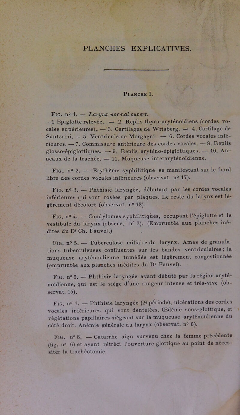 PLANCHES EXPLICATIVES. Planche I. Fig. n° 1. — Larynx normal ouvert. 1 Epiglotte relevée. — 2. Replis thyro-aryténoïdiens (cordes vo- cales supérieures). — 3. Cartilages de Wrisberg. — 4. Cartilage de Santorini. — 5. Ventricule de Morgagni. — 6. Cordes vocales infé- rieures. — 7. Commissure antérieure des cordes vocales. — 8. Replis glosso-épiglottiques. —■ 9. Replis aryténo-épiglottiques. — 10. An- neaux de la trachée. — 11. Muqueuse interaryténoïdienne. Fig. n° 2. — Erythème syphilitique se manifestant sur le bord libre des cordes vocales inférieures (observât. n° 17). Fig. n° 3. — Phthisie laryngée, débutant par les cordes vocales inférieures qui sont rosées par plaques. Le reste du larynx est lé- gèrement décoloré (observât. n° 13). Fig. n° 4. — Condylomes syphilitiques, occupant l’épiglotte et le vestibule du larynx (observ. n° 3). (Empruntée aux planches iné- dites du DrCh. Fauvel.) Fig. n° 5. — Tuberculose miliaire du larynx. Amas de granula- tions tuberculeuses confluentes sur les bandes ventriculaires ; la muqueuse aryténoïdienne tuméfiée est légèrement congestionnée (empruntée aux planches inédites du Dr Fauvel). Fig. n°6. —: Phthisie laryngée ayant débuté par la région aryté- noïdienne, qui est le siège d’une rougeur intense et Irès-vive (ob- servât. 15). Fig. n° 7. — Phthisie laryngée (2* période), ulcérations des cordes vocales inférieures qui sont dentelees. Œdème sous-glottique, et végétations papillaires siégeant sur la muqueuse aryténoïdienne du côté droit. Anémie générale du larynx (observât. n° 6). Fig. n° 8. —Catarrhe aigu survenu chez la femme précédente (fig. n» 6) et ayant rétréci l’ouverture glottique au point de néces- siter la trachéotomie.