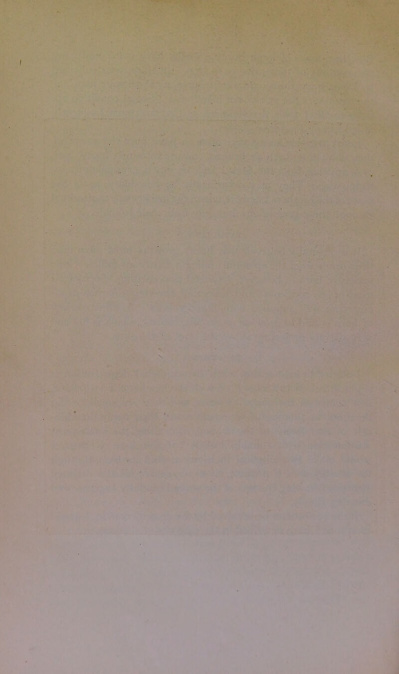 ' r. \ •• % i*' * •7^ ^ • :n. / ,4 ^ .V. i » %• 4 .> .z^ > • X • . * / v' •V J • ^ M. !4 1* ' % -*'A' X. '■i •fi <■ * . ' ' •‘V-V^.1 / S «'■ If 15M* 1