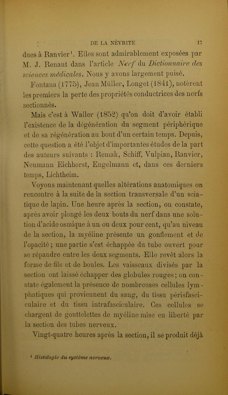 dues à Ranvier1. Elles sont admirablement exposées par M. J. Renaut dans l’article Nerf du Dictionnaire des sciences médicales. Nous y avons largement puisé. Fontana (1775), Jean Millier, Longet (1841), notèrent les premiers la perte des propriétés conductrices des nerfs sectionnés. Mais c’est à Waller (1852) qu’on doit d’avoir établi l’existence de la dégénération du segment périphérique et de sa régénération au bout d’un certain temps. Depuis, cette question a été l’objet d’importantes études delà part des auteurs suivants : Remak, Schiff, Vulpian, Ranvier, Neumann Eichhorst, Engelmann et, dans ces derniers temps, Lichtkeim. Voyons maintenant quelles altérations anatomiques on rencontre à la suite de la section transversale d’un scia- tique de lapin. Une heure après la section, on constate, après avoir plongé les deux bouts du nerf dans une solu- tion d’acide osmique à un ou deux pour cent, qu’au niveau de la section, la myéline présente un gonflement et de l’opacité; une partie s’est échappée du tube ouvert pour se répandre entre les deux segments. Elle revêt alors la forme de fils et de boules. Les vaisseaux divisés par la section ont laissé échapper des globules rouges; on con- state également la présence de nombreuses cellules lym - phatiques qui proviennent du sang, du tissu périsfasci- culaire et du tissu intrafasciculaire. Ces cellules se chargent de gouttelettes de myéline mise en liberté par la section des tubes nerveux. Vingt-quatre heures après la section, il se produit déjà * Histologie du système nerveux.