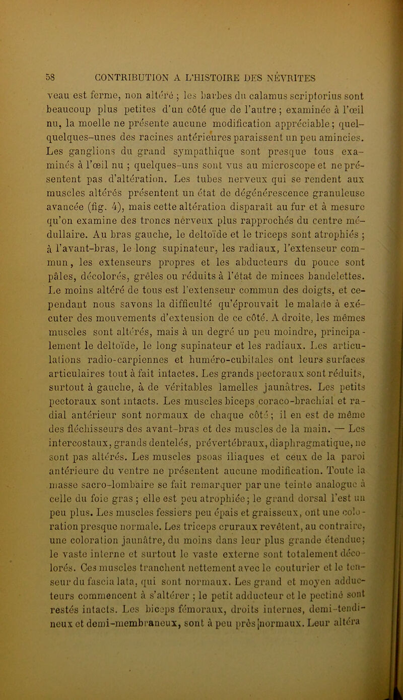 veau est ferme, non altéré ; les barbes du calamus scriptorius sont beaucoup plus petites d’un côté que de l’autre; examinée à l’œil nu. la moelle ne présente aucune modification appréciable; quel- quelques-unes des racines antérieures paraissent un peu amincies. Les ganglions du grand sympathique sont presque tous exa- minés à l’œil nu ; quelques-uns sont vus au microscope et ne pré- sentent pas d’altération. Les tubes nerveux qui se rendent aux muscles altérés présentent un état de dégénérescence granuleuse avancée (fig. 4), mais cette altération disparaît au fur et à mesure qu’on examine des troncs nerveux plus rapprochés du centre mé- dullaire. Au bras gauche, le deltoïde et le triceps sont atrophiés ; à l’avant-bras, le long supinateur, les radiaux, l’extenseur com- mun, les extenseurs propres et les abducteurs du pouce sont pâles, décolorés, grêles ou réduits à l’éta-t de minces bandelettes. Le moins altéré de tous est l’extenseur commun des doigts, et ce- pendant nous savons la difficulté qu’éprouvait le malade cà exé- cuter des mouvements d’extension de ce côté. Adroite, les mêmes muscles sont altérés, mais à un degré un peu moindre, principa - lement le deltoïde, le long supinateur et les radiaux. Les articu- lalions radio-carpiennes et huméro-cubilales ont leurs surfaces articulaires tout à fait intactes. Les grands pectoraux sont réduits, surtout à gauche, à de véritables lamelles jaunâtres. Les petits pectoraux sont intacts. Les muscles biceps coraco-brachial et ra- dial antérieur sont normaux de chaque côté; il en est de même des fléchisseurs des avant-bras et des muscles de la main. — Les intercostaux, grands dentelés, prévertébraux, diaphragmatique, ne sont pas altérés. Les muscles psoas iliaques et ceux de la paroi antérieure du ventre ne présentent aucune modification. Toute la masse sacro-lombaire se fait remarquer par une teinte analogue à celle du foie gras ; elle est peu atrophiée; le grand dorsal l’est un peu plus. Les muscles fessiers peu épais et graisseux, ont une colo- ration presque normale. Les triceps cruraux revêtent, au contraire, une coloration jaunâtre, du moins dans leur plus grande étendue; le vaste interne et surtout le vaste externe sont totalement déco- lorés. Ces muscles tranchent nettement avec le couturier et le ten- seur du fascia lata, qui sont normaux. Les grand et moyen adduc- teurs commencent à s’altérer ; le petit adducteur et le pectine sont restés intacts. Les biceps fémoraux, droits internes, demi-tendi- neux et demi-membraneux, sont à peu près [normaux. Leur altéra