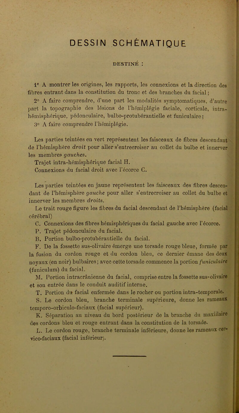 DESSIN SCHÉMATIQUE DESTINÉ : 1° A montrer les origines, les rapports, les connexions et la direction des fibres entrant dans la constitution du tronc et des branches du facial ; 2° A faire comprendre, d’une part les modalités symptomatiques, d’autre part la topographie des lésions de l’hémiplégie faciale, corticale, intra- hémisphérique, pédonculaire, bulbo-protubérantielle et funiculaire; 3° A faire comprendre l’hémiplégie. Les parties teintées en vert représentent les faisceaux de fibres descendant de l’hémisphère droit pour aller s’entrecroiser au collet du bulbe et innerver les membres gauches. Trajet intra-hémisphérique facial H. Connexions du facial droit avec l’écorce C. Les parties teintées en jaune représentent les faisceaux des fibres descen- dant de l’hémisphère gauche pour aller s’entrecroiser au collet du bulbe et innerver les membres droits. Le trait rouge figure les fibres du facial descendant de l’hémisphère (facial cérébral) C, Connexions des fibres hémisphériques du facial gauche avec l’écorce. P. Trajet pédonculaire du facial. B. Portion bulbo-protubérantielle du facial. F. De la fossette sus-olivaire émerge une torsade rouge bleue, formée par la fusion du cordon rouge et du cordon bleu, ce dernier émane des deux noyaux (en noir) bulbaires; avec cette torsade commence la portion funiculaire (funiculum) du facial. M. Portion intracrânienne du facial, comprise entre la fossette sus-olivaire et son entrée dans le conduit auditif interne. T. Portion du facial enfermée dans le rocher ou portion intra-temporale. S. Le cordon bleu, branche terminale supérieure, donne les rameaux temporo-orbiculo-faciaux (facial supérieur). K. Séparation au niveau du bord postérieur de la branche du niaxiilaire des cordons bleu et rouge entrant dans la constitution de la torsade. L. Le cordon rouge, branche terminale inférieure, donne les rameaux cer- vico-faciaux (facial inférieur).