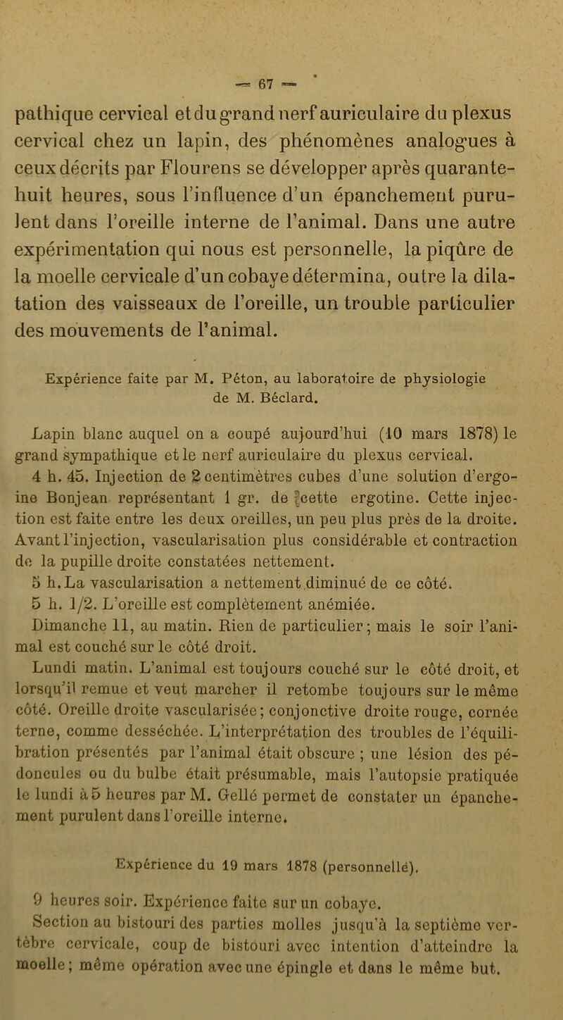 pathique cervical et du grand nerf auriculaire du plexus cervical chez un lapin, des phénomènes analog*ues à ceux décrits par Flourens se développer après quarante- huit heures, sous l’influence d’un épanchement puru- lent dans l’oreille interne de l’animal. Dans une autre expérimentation qui nous est personnelle, la piqûre de la moelle cervicale d’un cobaye détermina, outre la dila- tation des vaisseaux de l’oreille, un trouble particulier des mouvements de l’animal. Expérience faite par M. Péton, au laboratoire de physiologie de M. Béclard. Lapin blanc auquel on a coupé aujourd’hui (10 mars 1878) le grand sympathique et le nerf auriculaire du plexus cervical. 4 h. 45. Injection de 2 centimètres cubes d’une solution d’ergo- ine Bonjean représentant 1 gr. de fcette ergotine. Cette injec- tion est faite entre les deux oreilles, un peu plus près de la droite. Avant l’injection, vascularisation plus considérable et contraction de la pupille droite constatées nettement. 5 h. La vascularisation a nettement diminué de ce côté. 5 h. 1/2. L’oreille est complètement anémiée. Dimanche 11, au matin. Rien de particulier; mais le soir l’ani- mal est couché sur le côté droit. Lundi matin. L’animal est toujours couché sur le côté droit, et lorsqu’il remue et veut marcher il retombe toujours sur le même côté. Oreille droite vascularisée; conjonctive droite rouge, cornée terne, comme desséchée. L’interprétation des troubles de l’équili- bration présentés par l’animal était obscure ; une lésion des pé- doncules ou du bulbe était présumable, mais l’autopsie pratiquée le lundi à5 heures par M. Gellé permet de constater un épanche- ment purulent dans l’oreille interne* Expérience du 19 mars 1878 (personnellé), 9 heures soir. Expérience faite sur un cobaye. Section au bistouri des parties molles jusqu’à la septième ver- tèbre cervicale, coup de bistouri avec intention d’atteindre la moelle ; même opération avec une épingle et dans le même but.