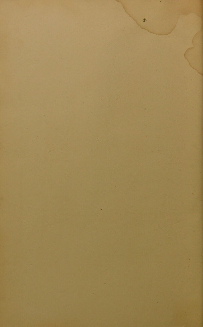 . . -J - - — IM ^ -■'