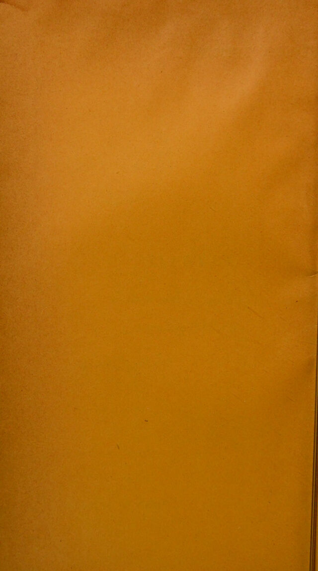 digitised image 2