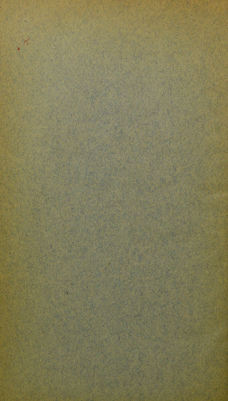 ' t ■ ! , m: ' ■ ■■ ..r-y. ■ '■' * •'i .