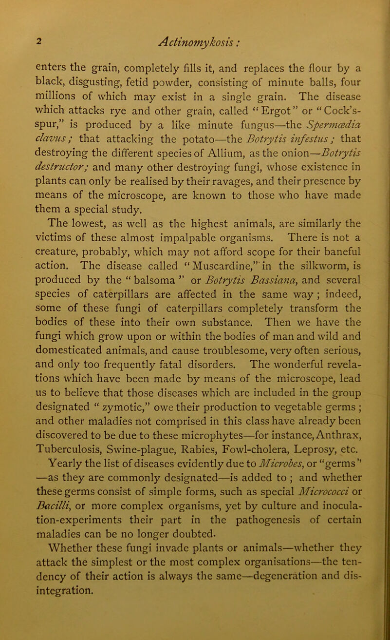 enters the grain, completely fills it, and replaces the flour by a black, disgusting, fetid powder, consisting of minute balls, four millions of which may exist in a single grain. The disease which attacks rye and other grain, called “Ergot” or “Cock’s- spur,” is produced by a like minute fungus—the Spermcedia claviis; that attacking the potato—the Botrytis infestus; that destroying the different species of Allium, as the onion—Botrytis destructor; and many other destroying fungi, whose existence in plants can only be realised by their ravages, and their presence by means of the microscope, are known to those who have made them a special study. The lowest, as well as the highest animals, are similarly the victims of these almost impalpable organisms. There is not a creature, probably, which may not afford scope for their baneful action. The disease called “ Muscardine,” in the silkworm, is produced by the “ balsoma ” or Botrytis Bassiana, and several species of caterpillars are affected in the same way ; indeed, some of these fungi of caterpillars completely transform the bodies of these into their own substance. Then we have the fungi which grow upon or within the bodies of man and wild and domesticated animals, and cause troublesome, very often serious, and only too frequently fatal disorders. The wonderful revela- tions which have been made by means of the microscope, lead us to believe that those diseases which are included in the group designated “ zymotic,” owe their production to vegetable germs ; and other maladies not comprised in this class have already been discovered to be due to these microphytes—for instance, Anthrax, Tuberculosis, Swine-plague, Rabies, Fowl-cholera, Leprosy, etc. Yearly the list of diseases evidently due to Microbes, or “germs ’’ —as they are commonly designated—is added to ; and whether these germs consist of simple forms, such as special Micrococci or Bacilli, or more complex organisms, yet by culture and inocula- tion-experiments their part in the pathogenesis of certain maladies can be no longer doubted. Whether these fungi invade plants or animals—whether they attack the simplest or the most complex organisations—the ten- dency of their action is always the same—degeneration and dis- integration.