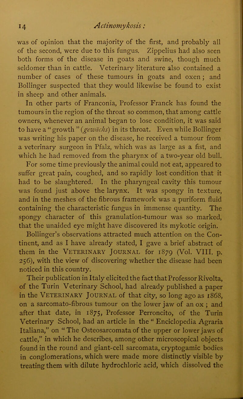 was of opinion that the majority of the first, and probably all of the second, were due to this fungus. Zippelius had also seen both forms of the disease in goats and swine, though much seldomer than in cattle. Veterinary literature also contained a number of cases of these tumours in goats and oxen ; and Bollinger suspected that they would likewise be found to exist in sheep and other animals. In other parts of Franconia, Professor Franck has found the tumours in the region of the throat so common, that among cattle owners, whenever an animal began to lose condition, it was said to have a “ growth ” (gewachs) in its throat. Even while Bollinger was writing his paper on the disease, he received a tumour from a veterinary surgeon in Pfalz, which was as large as a fist, and which he had removed from the pharynx of a two-year old bull. For some time previously the animal could not eat, appeared to suffer great pain, coughed, and so rapidly lost condition that it had to be slaughtered. In the pharyngeal cavity this tumour was found just above the larynx. It was spongy in texture, and in the meshes of the fibrous framework was a puriform fluid containing the characteristic fungus in immense quantity. The spongy character of this granulation-tumour was so marked, that the unaided eye might have discovered its mykotic origin. Bollinger’s observations attracted much attention on the Con- tinent, and as I have already stated, I gave a brief abstract of them in the Veterinary Journal for 1879 (Vol. VIII. p. 256), with the view of discovering whether the disease had been noticed in this country. Their publication in Italy elicited the fact that Professor Rivolta, of the Turin Veterinary School, had already published a paper in the Veterinary Journal of that city, so long ago as 186S, on a sarcomato-fibrous tumour on the lower jaw of an ox ; and after that date, in 1875, Professor Perroncito, of the Turin Veterinary School, had an article in the “ Enciclopedia Agraria Italiana,” on “The Osteosarcomata of the upper or lower jaws of cattle,” in which he describes, among other microscopical objects found in the round and giant-cell sarcomata, cryptogamic bodies in conglomerations, which were made more distinctly visible by treating them with dilute hydrochloric acid, which dissolved the