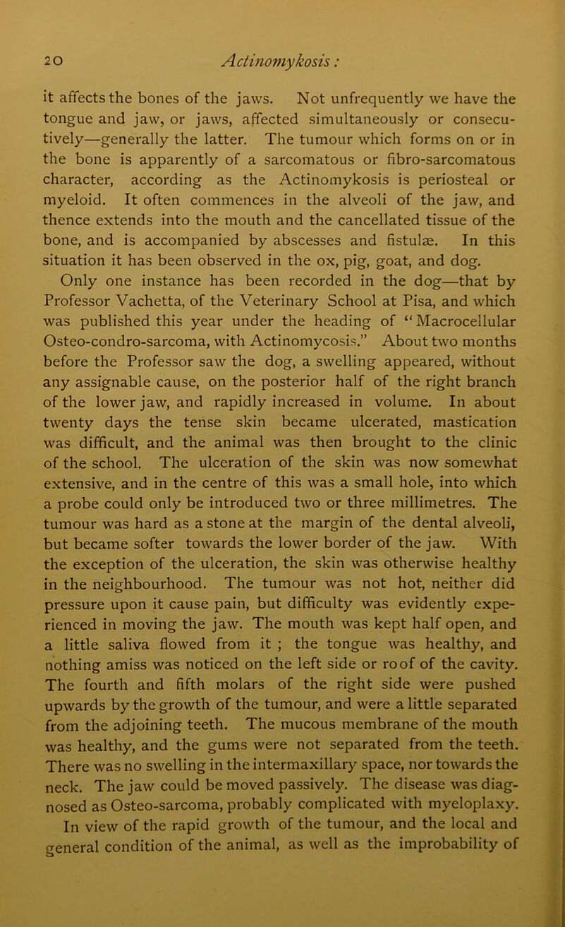 it affects the bones of the jaws. Not unfrequently we have the tongue and jaw, or jaws, affected simultaneously or consecu- tively—generally the latter. The tumour which forms on or in the bone is apparently of a sarcomatous or fibro-sarcomatous character, according as the Actinomykosis is periosteal or myeloid. It often commences in the alveoli of the jaw, and thence extends into the mouth and the cancellated tissue of the bone, and is accompanied by abscesses and fistulae. In this situation it has been observed in the ox, pig, goat, and dog. Only one instance has been recorded in the dog—that by Professor Vachetta, of the Veterinary School at Pisa, and which was published this year under the heading of “ Macrocellular Osteo-condro-sarcoma, with Actinomycosis.” About two months before the Professor saw the dog, a swelling appeared, without any assignable cause, on the posterior half of the right branch of the lower jaw, and rapidly increased in volume. In about twenty days the tense skin became ulcerated, mastication was difficult, and the animal was then brought to the clinic of the school. The ulceration of the skin was now somewhat extensive, and in the centre of this was a small hole, into which a probe could only be introduced two or three millimetres. The tumour was hard as a stone at the margin of the dental alveoli, but became softer towards the lower border of the jaw. With the exception of the ulceration, the skin was otherwise healthy in the neighbourhood. The tumour was not hot, neither did pressure upon it cause pain, but difficulty was evidently expe- rienced in moving the jaw. The mouth was kept half open, and a little saliva flowed from it ; the tongue was healthy, and nothing amiss was noticed on the left side or roof of the cavity. The fourth and fifth molars of the right side were pushed upwards by the growth of the tumour, and were a little separated from the adjoining teeth. The mucous membrane of the mouth was healthy, and the gums were not separated from the teeth. There was no swelling in the intermaxillary space, nor towards the neck. The jaw could be moved passively. The disease was diag- nosed as Osteo-sarcoma, probably complicated with myeloplaxy. In view of the rapid growth of the tumour, and the local and general condition of the animal, as well as the improbability of