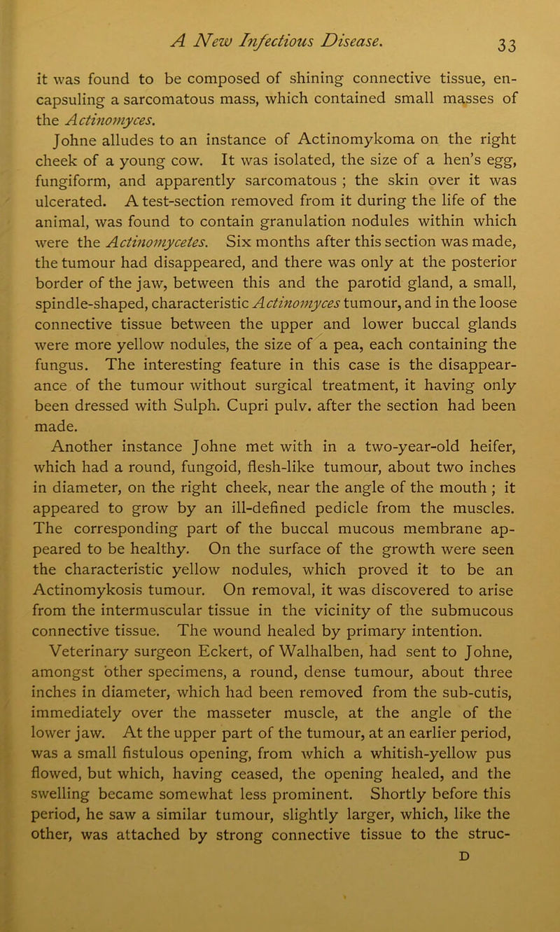 it was found to be composed of shining connective tissue, en- capsuling a sarcomatous mass, which contained small masses of the Actinomyces. Johne alludes to an instance of Actinomykoma on the right cheek of a young cow. It was isolated, the size of a hen’s egg, fungiform, and apparently sarcomatous ; the skin over it was ulcerated. A test-section removed from it during the life of the animal, was found to contain granulation nodules within which were the Actinomycetes. Six months after this section was made, the tumour had disappeared, and there was only at the posterior border of the jaw, between this and the parotid gland, a small, spindle-shaped, characteristic Actinomyces tumour, and in the loose connective tissue between the upper and lower buccal glands were more yellow nodules, the size of a pea, each containing the fungus. The interesting feature in this case is the disappear- ance of the tumour without surgical treatment, it having only been dressed with Sulph. Cupri pulv. after the section had been made. Another instance Johne met with in a two-year-old heifer, which had a round, fungoid, flesh-like tumour, about two inches in diameter, on the right cheek, near the angle of the mouth ; it appeared to grow by an ill-defined pedicle from the muscles. The corresponding part of the buccal mucous membrane ap- peared to be healthy. On the surface of the growth were seen the characteristic yellow nodules, which proved it to be an Actinomykosis tumour. On removal, it was discovered to arise from the intermuscular tissue in the vicinity of the submucous connective tissue. The wound healed by primary intention. Veterinary surgeon Eckert, of Walhalben, had sent to Johne, amongst other specimens, a round, dense tumour, about three inches in diameter, which had been removed from the sub-cutis, immediately over the masseter muscle, at the angle of the lower jaw. At the upper part of the tumour, at an earlier period, was a small fistulous opening, from which a whitish-yellow pus flowed, but which, having ceased, the opening healed, and the swelling became somewhat less prominent. Shortly before this period, he saw a similar tumour, slightly larger, which, like the other, was attached by strong connective tissue to the struc- D