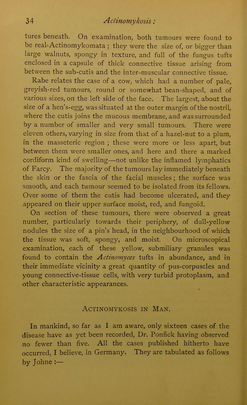 tures beneath. On examination, both tumours were found to be real Actinomykomata ; they were the size of, or bigger than large walnuts, spongy in texture, and full of the fungus tufts enclosed in a capsule of thick connective tissue arising from between the sub-cutis and the inter-muscular connective tissue. Rabe relates the case of a cow, which had a number of pale, greyish-red tumours, round or somewhat bean-shaped, and of various sizes, on the left side of the face. The largest, about the size of a hen’s-egg, was situated at the outer margin of the nostril, where the cutis joins the mucous membrane, and was surrounded by a number of smaller and very small tumours. There were eleven others, varying in size from that of a hazel-nut to a plum, in the masseteric region ; these were more or less apart, but between them were smaller ones, and here and there a marked cordiform kind of swelling—not unlike the inflamed lymphatics of Farcy. The majority of the tumours lay immediately beneath the skin or the fascia of the facial muscles ; the surface was smooth, and each tumour seemed to be isolated from its fellows. Over some of them the cutis had become ulcerated, and they appeared on their upper surface moist, red, and fungoid. On section of these tumours, there were observed a great number, particularly towards their periphery, of dull-yellow nodules the size of a pin’s head, in the neighbourhood of which the tissue was soft, spongy, and moist. On microscopical examination, each of these yellow, submiliary granules was found to contain the Adinomyces tufts in abundance, and in their immediate vicinity a great quantity of pus-corpuscles and young connective-tissue cells, with very turbid protoplasm, and other characteristic appearances. Actinomykosis in Man. In mankind, so far as I am aware, only sixteen cases of the disease have as yet been recorded, Dr. Ponfick having observed no fewer than five. All the cases published hitherto have occurred, I believe, in Germany. They are tabulated as follows by Johne :—