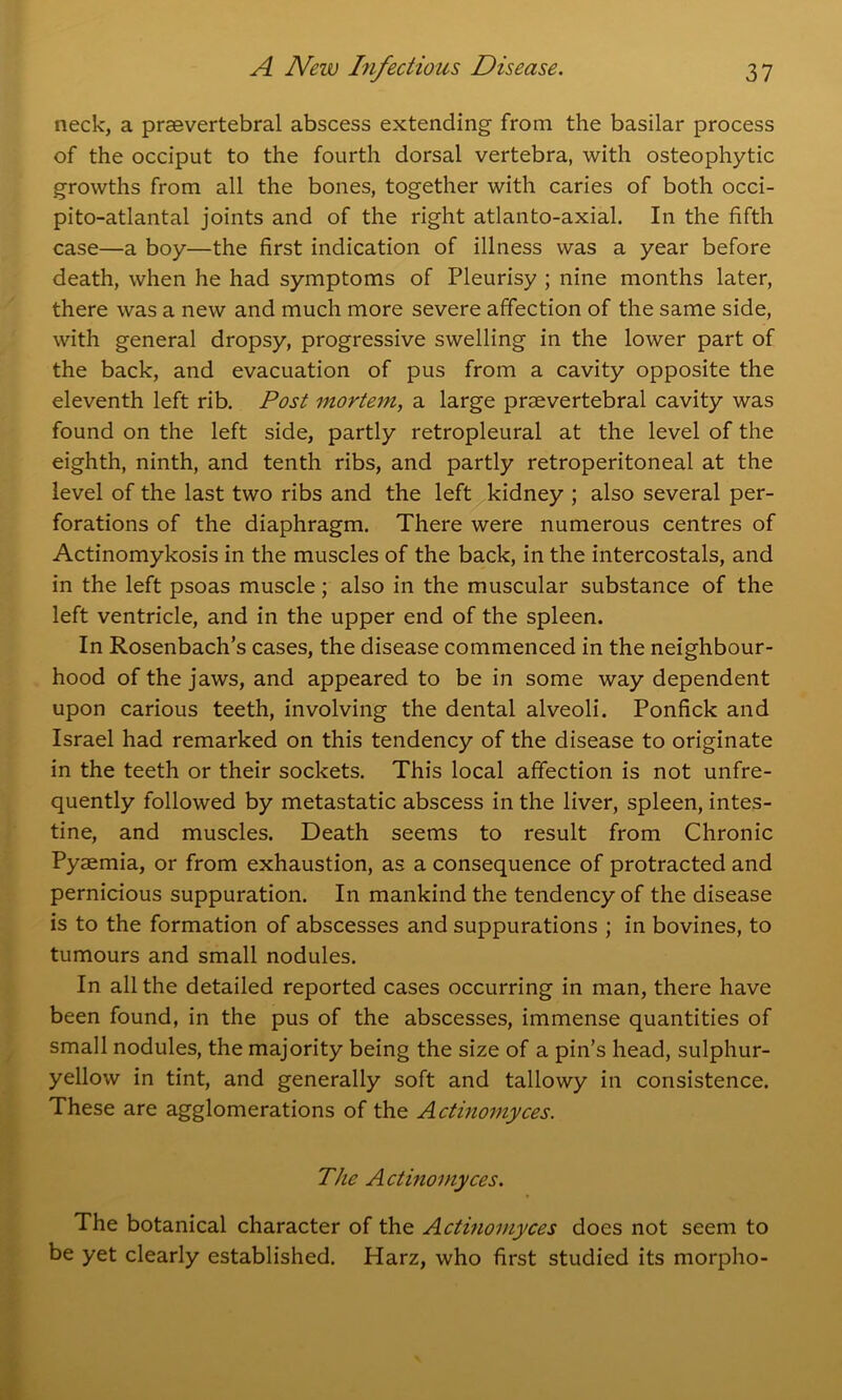 neck, a prsevertebral abscess extending from the basilar process of the occiput to the fourth dorsal vertebra, with osteophytic growths from all the bones, together with caries of both occi- pito-atlantal joints and of the right atlanto-axial. In the fifth case—a boy—the first indication of illness was a year before death, when he had symptoms of Pleurisy ; nine months later, there was a new and much more severe affection of the same side, with general dropsy, progressive swelling in the lower part of the back, and evacuation of pus from a cavity opposite the eleventh left rib. Post mortem, a large prsevertebral cavity was found on the left side, partly retropleural at the level of the eighth, ninth, and tenth ribs, and partly retroperitoneal at the level of the last two ribs and the left kidney ; also several per- forations of the diaphragm. There were numerous centres of Actinomykosis in the muscles of the back, in the intercostals, and in the left psoas muscle; also in the muscular substance of the left ventricle, and in the upper end of the spleen. In Rosenbach’s cases, the disease commenced in the neighbour- hood of the jaws, and appeared to be in some way dependent upon carious teeth, involving the dental alveoli. Ponfick and Israel had remarked on this tendency of the disease to originate in the teeth or their sockets. This local affection is not unfre- quently followed by metastatic abscess in the liver, spleen, intes- tine, and muscles. Death seems to result from Chronic Pyaemia, or from exhaustion, as a consequence of protracted and pernicious suppuration. In mankind the tendency of the disease is to the formation of abscesses and suppurations ; in bovines, to tumours and small nodules. In all the detailed reported cases occurring in man, there have been found, in the pus of the abscesses, immense quantities of small nodules, the majority being the size of a pin’s head, sulphur- yellow in tint, and generally soft and tallowy in consistence. These are agglomerations of the Actinomyces. The Actinomyces. The botanical character of the Actinomyces does not seem to be yet clearly established. Harz, who first studied its morpho- I.