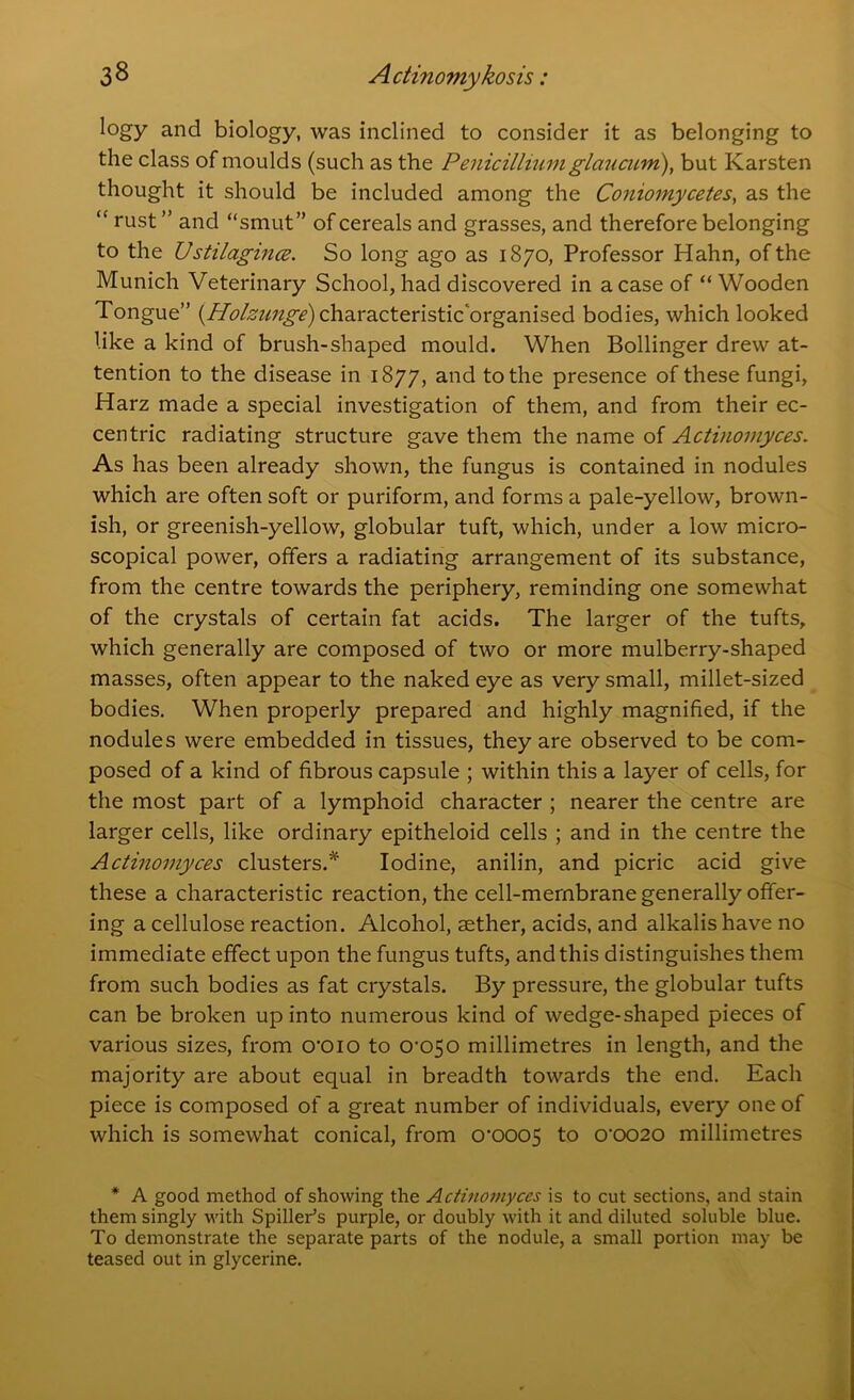 l°gy and biology, was inclined to consider it as belonging to the class of moulds (such as the Penicilliumglaucum), but Karsten thought it should be included among the Coniomycetes, as the “ rust ” and “smut” of cereals and grasses, and therefore belonging to the U stilagince. So long ago as 1870, Professor Hahn, of the Munich Veterinary School, had discovered in a case of “Wooden Tongue” (./VVswz^jcharacteristic'organised bodies, which looked like a kind of brush-shaped mould. When Bollinger drew at- tention to the disease in 1877, and to the presence of these fungi, Harz made a special investigation of them, and from their ec- centric radiating structure gave them the name of Actinomyces. As has been already shown, the fungus is contained in nodules which are often soft or puriform, and forms a pale-yellow, brown- ish, or greenish-yellow, globular tuft, which, under a low micro- scopical power, offers a radiating arrangement of its substance, from the centre towards the periphery, reminding one somewhat of the crystals of certain fat acids. The larger of the tufts, which generally are composed of two or more mulberry-shaped masses, often appear to the naked eye as very small, millet-sized bodies. When properly prepared and highly magnified, if the nodules were embedded in tissues, they are observed to be com- posed of a kind of fibrous capsule ; within this a layer of cells, for the most part of a lymphoid character ; nearer the centre are larger cells, like ordinary epitheloid cells ; and in the centre the Actinomyces clusters.* Iodine, anilin, and picric acid give these a characteristic reaction, the cell-membrane generally offer- ing a cellulose reaction. Alcohol, aether, acids, and alkalis have no immediate effect upon the fungus tufts, and this distinguishes them from such bodies as fat crystals. By pressure, the globular tufts can be broken up into numerous kind of wedge-shaped pieces of various sizes, from croio to crc>5o millimetres in length, and the majority are about equal in breadth towards the end. Each piece is composed of a great number of individuals, every one of which is somewhat conical, from 0’OOC>5 to 0'0020 millimetres # A good method of showing the Actinomyces is to cut sections, and stain them singly with Spider’s purple, or doubly with it and diluted soluble blue. To demonstrate the separate parts of the nodule, a small portion may be teased out in glycerine.