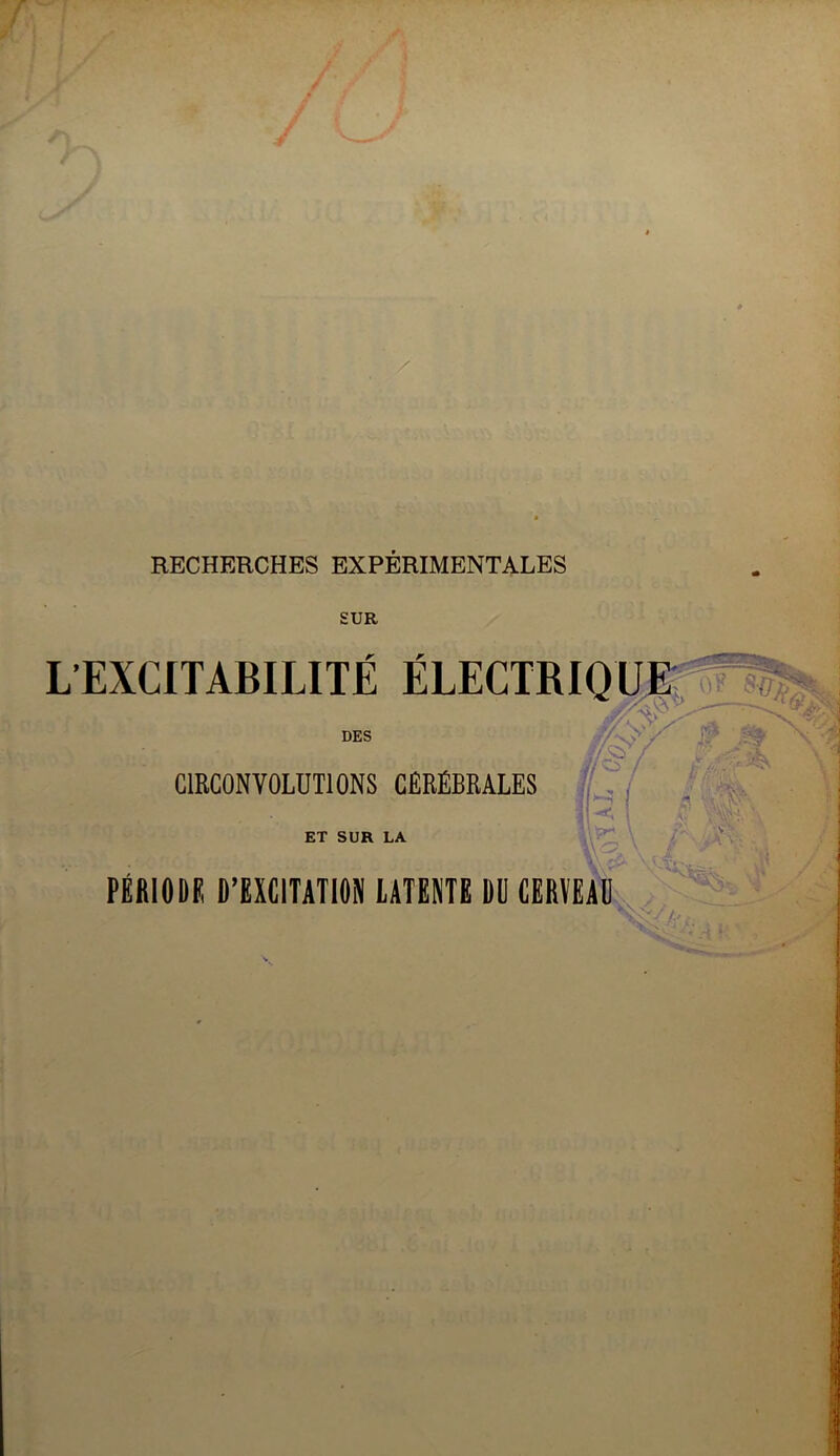 SUR L’EXCITABILITÉ DES CIRCONVOLUTIONS CEREBRALES ET SUR LA Æ iJ O / » - PÉRIODE D’EXCITATION LATENTE DU CERVEAU