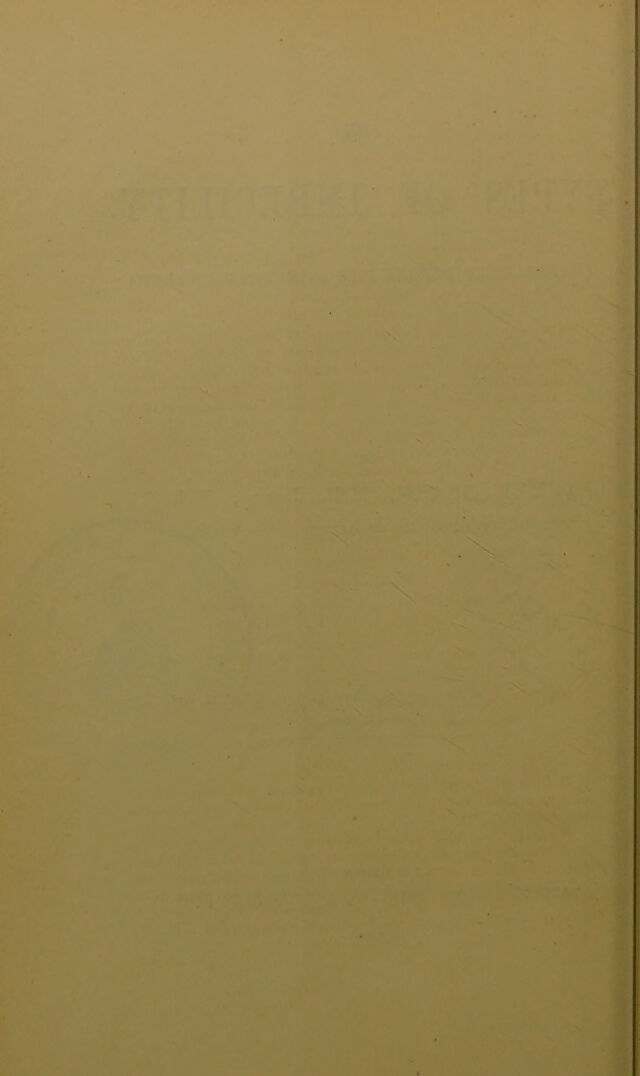 digitised image 2