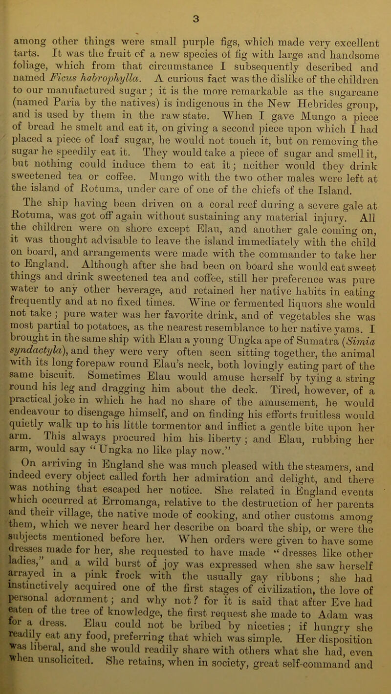 among other things were small purple figs, which made very excellent tarts. It was the fruit of a new species of fig with large and handsome foliage, which from that circumstance I subsequently described and named Ficus habrophylla. A curious fact was the dislike of the children to our manufactured sugar; it is the more remarkable as the sugarcane (named Paria by the natives) is indigenous in the New Hebrides group, and is used by them in the raw state. When I gave Mungo a piece of bread he smelt and eat it, on giving a second piece upon which I had placed a piece of loaf sugar, lie would not touch it, but on removing the sugar he speedily eat it. They would take a piece of sugar and smell it, but nothing could induce them to eat it; neither would they drink sweetened tea or coffee. Mungo with the two other males were left at the island of Rotuma, under care of one of the chiefs of the Island. The ship having been driven on a coral reef during a severe gale at Rotuma, was got off' again without sustaining any material injury. All the children were on shore except Elan, and another gale coming on, it was thought advisable to leave the island immediately with the child on board, and arrangements were made with the commander to take her to England. Although after she had been on board she would eat sweet things and drink sweetened tea and coffee, still her preference was pure water to any other beverage, and retained her native habits in eating frequently and at no fixed times. Wine or fermented liquors she would not take ; pure water was her favorite drink, and of vegetables she was most partial to potatoes, as the nearest resemblance to her native yams. I brought in the same ship with Elau a young TJngka ape of Sumatra (Simla syndactyla), and they were very often seen sitting together, the animal with its long forepaw round Elau’s neck, both lovingly eating part of the same biscuit. Sometimes Elau would amuse herself by tying a string round his leg and dragging him about the deck. Tired, however, of a practical joke in which he had no share of the amusement, he would endeavour to disengage himself, and on finding his efforts fruitless would quietly walk up to his little tormentor and inflict a gentle bite upon her arm. This always procured him his liberty: and Elau, rubbing her arm, would say “ IJngka no like play now.” . arriving in England she was much pleased with the steamers, and indeed every object called forth her admiration and delight, and there was nothing that escaped her notice. She related in England events which occurred at Erromanga, relative to the destruction of her parents and their village, the native mode of cooking, and other customs among t lem, which we never heard her describe on board the ship, or were the subjects mentioned before her. When orders were given to have some dresses made for her, she requested to have made “ dresses like other ladies, and a wild burst of joy was expressed when she saw herself arrayed in a pink frock with the usually gay ribbons; she had instinctively acquired one of the first stages of civilization, the love of personal adornment; and why not ? for it is said that after Eve had eaten of the tree of knowledge, the first request she made to Adam was tor a dress. Elau could not be bribed by niceties; if hungry she readily eat any food, preferring that which was simple. Her disposition was liberal, and she would readily share with others what she had, even w len unsolicited. She retains, when in society, great self-command and