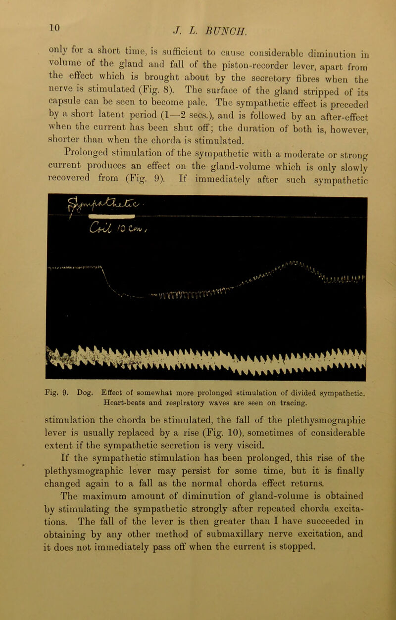 only for a short time, is sufficient to cause considerable diminution in volume of the gland and fall of the piston-recorder lever, apart from the effect which is brought about by the secretory fibres when the nerve is stimulated (Fig. 8). The surface of the gland stripped of its capsule can be seen to become pale. The sympathetic effect is preceded by a short latent period (1—2 secs.), and is followed by an after-effect when the current has been shut off; the duration of both is, however, shorter than when the chorda is stimulated. Prolonged stimulation of the sympathetic with a moderate or strong current produces an effect on the gland-volume which is only slowl} recovered from (Fig. 9). If immediately after such sympathetic Fig. 9. Dog. Effect of somewhat more prolonged stimulation of divided sympathetic. Heart-beats and respiratory waves are seen on tracing. stimulation the chorda be stimulated, the fall of the plethysmographic lever is usually replaced by a rise (Fig. 10), sometimes of considerable extent if the sympathetic secretion is very viscid. If the sympathetic stimulation has been prolonged, this rise of the plethysmographic lever may persist for some time, but it is finally changed again to a fall as the normal chorda effect returns. The maximum amount of diminution of gland-volume is obtained by stimulating the sympathetic strongly after repeated chorda excita- tions. The fall of the lever is then greater than I have succeeded in obtaining by any other method of submaxillary nerve excitation, and it does not immediately pass off when the current is stopped.