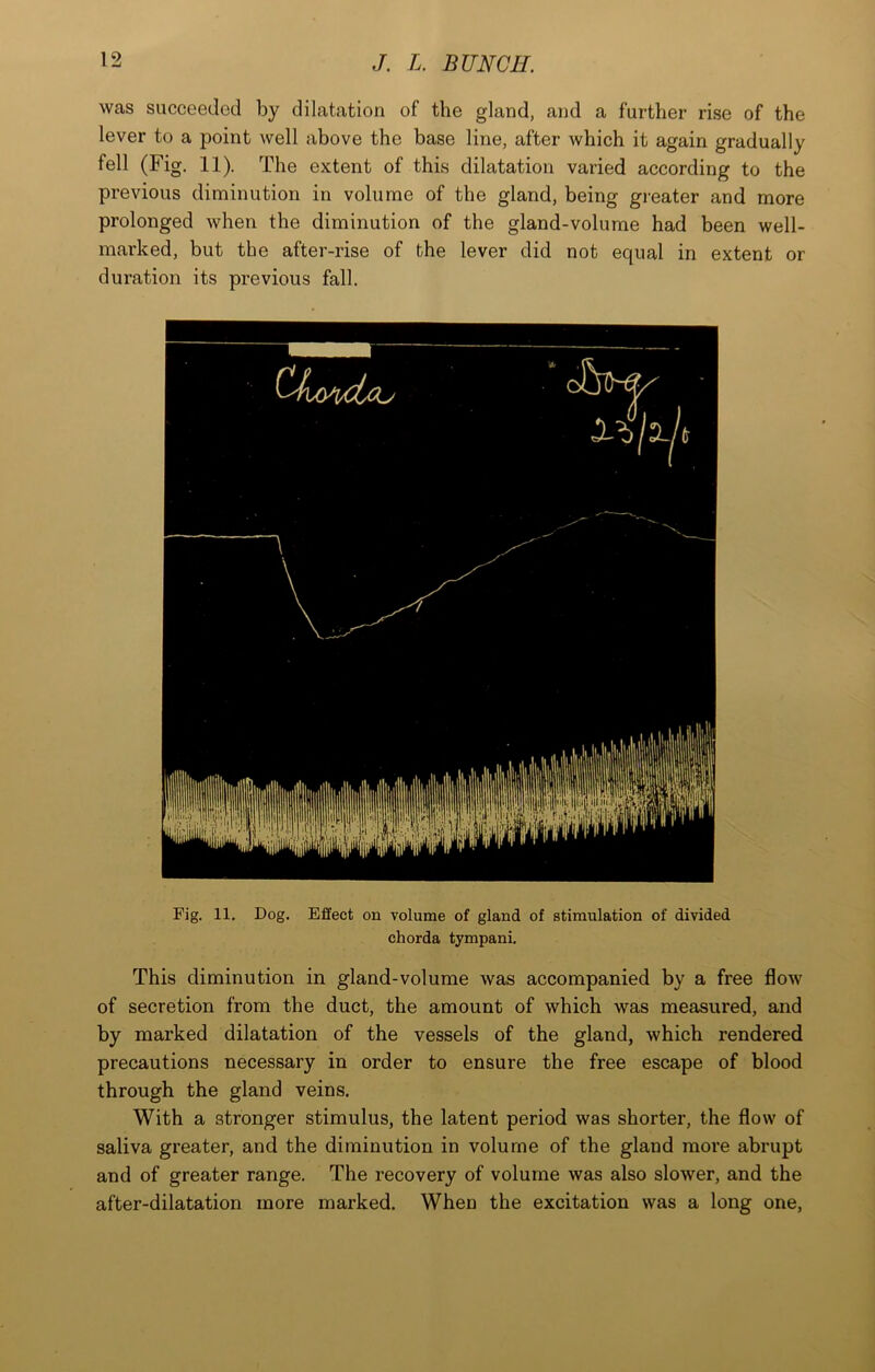 was succeeded by dilatation of the gland, and a further rise of the lever to a point well above the base line, after which it again gradually fell (Fig. 11). The extent of this dilatation varied according to the previous diminution in volume of the gland, being greater and more prolonged when the diminution of the gland-volume had been well- marked, but the after-rise of the lever did not equal in extent or duration its previous fall. Fig. 11. Dog. Effect on volume of gland of stimulation of divided chorda tympani. This diminution in gland-volume was accompanied by a free flow of secretion from the duct, the amount of which was measured, and by marked dilatation of the vessels of the gland, which rendered precautions necessary in order to ensure the free escape of blood through the gland veins. With a stronger stimulus, the latent period was shorter, the flow of saliva greater, and the diminution in volume of the gland more abrupt and of greater range. The recovery of volume was also slower, and the after-dilatation more marked. When the excitation was a long one,