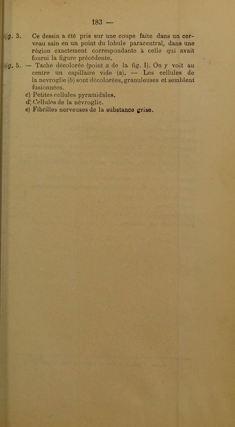 183 — r’fli. 3. Ce dessin a été pris sur une coupe faite dans un cer- [ veau sain en un point du lobule paracentral, dans une Iréi?ion exactement correspondante à celle qui avait fourni la figure précédente. .ig. 5. — Tache décolorée (point a de la fig. I). On y voit au centre un capillaire vide (a). — Les cellules de la nevroglie (b) sont décolorées, granuleuses et semblent fusionnées. c) Petites cellules pyramidales. d] Cellules de la névroglie. e) Fibrilles nerveuses de la substance grise.