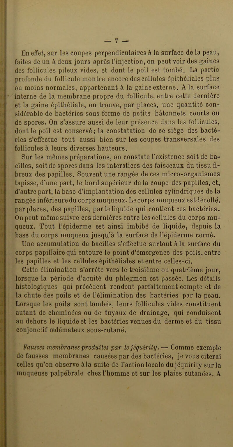 En effet, sur les coupes perpendiculaires à la surface de la peau, faites de un à deux jours après l’injection, on peut voir des gaines des follicules pileux vides, et dont le poil est tombé. La partie profonde du follicule montre encore des cellules épithéliales plus ou moins normales, appartenant à la gaine externe. A la surface interne de la membrane propre du follicule, entre cette dernière et la gaine épithéliale, on trouve, par places, une quantité con- sidérable de bactéries sous forme de petits bâtonnets courts ou de spores. On s’assure aussi de leur présence dans les follicules, dont le poil est conservé; la constatation de ce siège des bacté- ries s’effectue tout aussi bien sur les coupes transversales des follicules à leurs diverses hauteurs. Sur les mêmes préparations, on constate l’existence soit de ba- cilles, soit de spores dans les interstices des faisceaux du tissu fi- breux des papilles. Souvent une rangée de ces micro-organismes tapisse, d’une part, le bord supérieur de la coupe des papilles, et, d’autre part, la base d’implantation des cellules cylindriques de la rangée inférieure du corps muqueux. Le corps muqueux estdécollé, par places, des papilles, par le liquide qui contient ces bactéries. On peut même suivre ces dernières entre les cellules du corps mu- queux. Tout répidermm est ainsi imbibé de liquide, depuis la base du corps muqueux jusqu’à la surface de l’épiderme corné. Une accumulation de bacilles s’effectue surtout à la surface du corps papillaire qui entoure le point d’émergence des poils, entre les papilles et les cellules épithéliales et entre celles-ci. Cette élimination s’arrête vers le troisième ou quatrième jour, lorsque la période d’acuité du phlegmon est passée. Les détails histologiques qui précèdent rendent parfaitement compte et de la chute des poils et de l’élimination des bactéries par la peau. Lorsque les poils sont tombés, leurs follicules vides constituent autant de cheminées ou de tuyaux de drainage, qui conduisent au dehors le liquide et les bactéries venues du derme et du tissu conjonctif œdémateux sous-cutané. Fausses membranes produites par lejéquirity. — Comme exemple défaussés membranes causées par des bactéries, je vous citerai celles qu’on observe à la suite de l’action locale dujéquirity sur la muqueuse palpébrale chez l’homme et sur les plaies cutanées. A