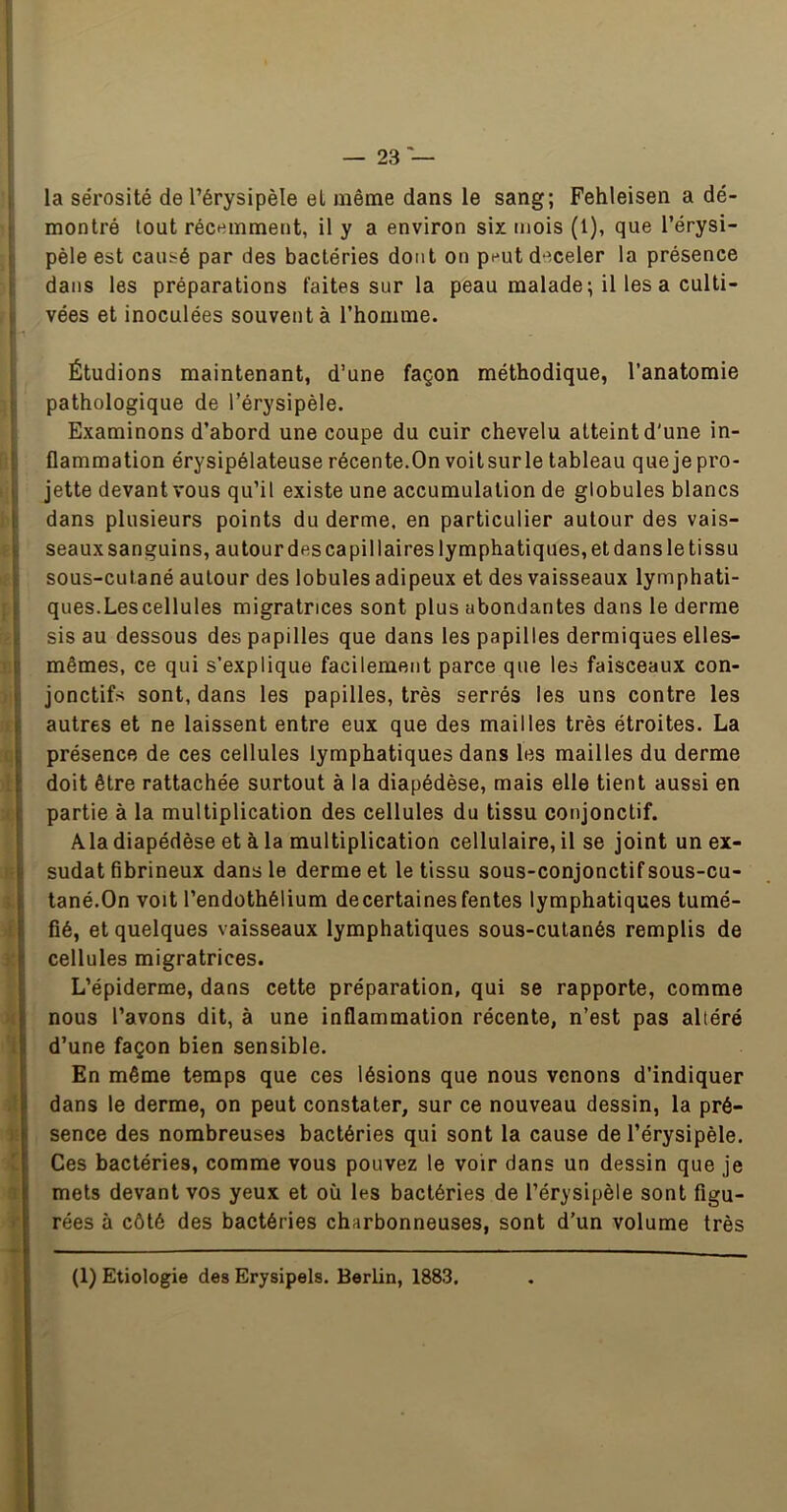 1 la sérosité de l’érysipèle et même dans le sang; Fehleisen a dé- j montré tout récemment, il y a environ six mois (1), que l’érysi- 1 pèle est causé par des bactéries dont on peutdeceler la présence [; dans les préparations faites sur la peau malade; il les a culti- H vées et inoculées souvent à rhomrae. r • Étudions maintenant, d’une façon méthodique, l’anatomie pathologique de l’érysipèle. I Examinons d’abord une coupe du cuir chevelu atteint d'une in- ^ flammation érysipélateuse récente.On voitsurle tableau que je pro- , jette devant vous qu’il existe une accumulation de globules blancs ! dans plusieurs points du derme, en particulier autour des vais- i seaux sanguins, au tour des capillaires lymphatiques, et dans le tissu sous-cutané autour des lobules adipeux et des vaisseaux lymphati- ques.Lescellules migratrices sont plus abondantes dans le derme j sis au dessous des papilles que dans les papilles dermiques elles- ! mêmes, ce qui s’explique facilement parce que les faisceaux con- jonctifs sont, dans les papilles, très serrés les uns contre les autres et ne laissent entre eux que des mailles très étroites. La présence de ces cellules lymphatiques dans les mailles du derme doit être rattachée surtout à la diapédèse, mais elle tient aussi en partie à la multiplication des cellules du tissu conjonctif. Ala diapédèse et à la multiplication cellulaire, il se joint un ex- sudât fibrineux dans le derme et le tissu sous-conjonctif sous-cu- ; tané.On voit l’endothélium de certaines fentes lymphatiques tumé- fié, et quelques vaisseaux lymphatiques sous-culanés remplis de ’ cellules migratrices. L’épiderme, dans cette préparation, qui se rapporte, comme nous l’avons dit, à une inflammation récente, n’est pas altéré i d’une façon bien sensible. En même temps que ces lésions que nous venons d’indiquer dans le derme, on peut constater, sur ce nouveau dessin, la pré- 1 sence des nombreuses bactéries qui sont la cause de l’érysipèle. Ces bactéries, comme vous pouvez le voir dans un dessin que je ! mets devant vos yeux et où les bactéries de l’érysipèle sont figu- > rées à côté des bactéries charbonneuses, sont d’un volume très (1) Etiologie des Erysipels. Berlin, 1883.