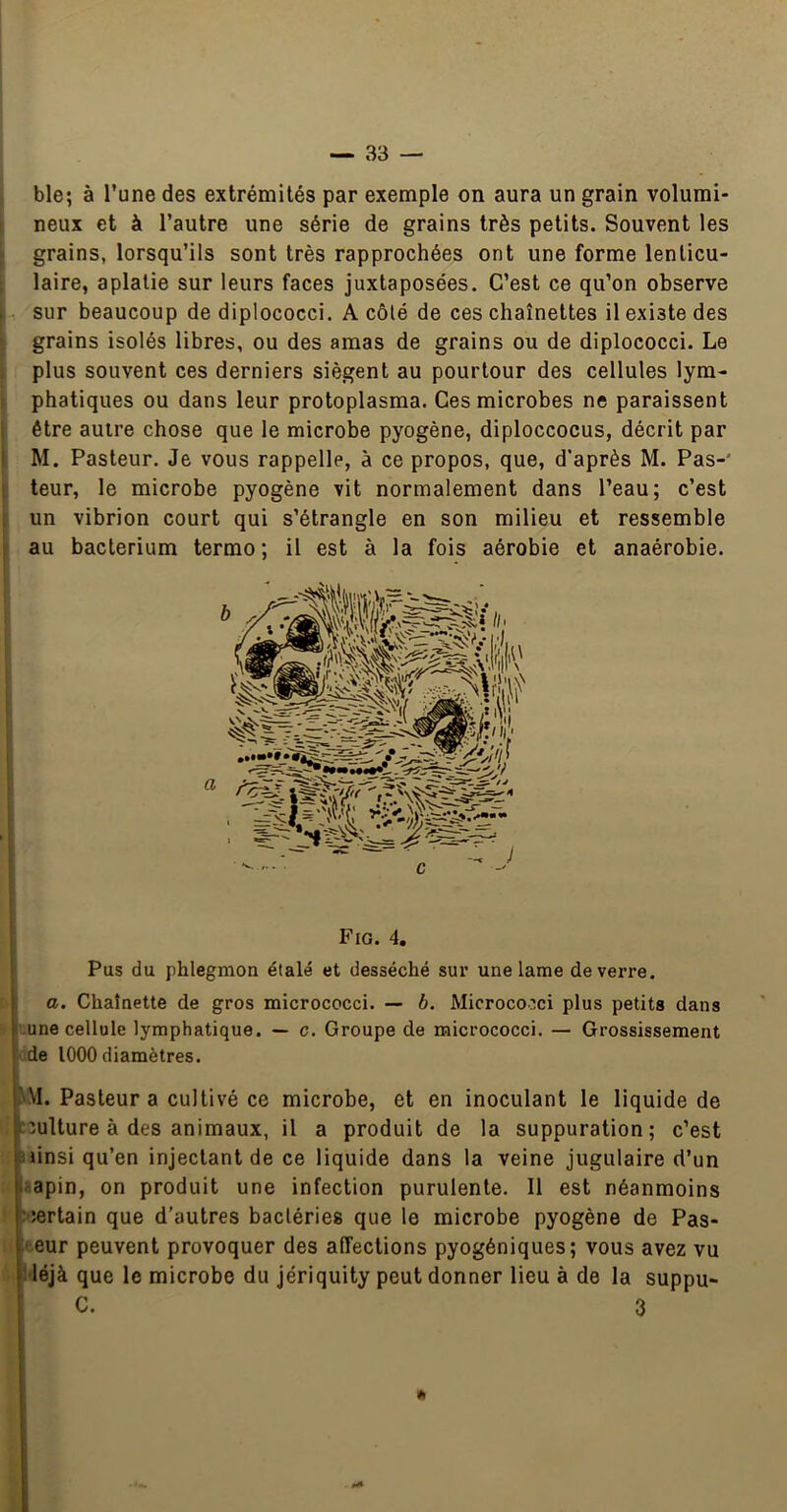 ble; à l’une des extrémités par exemple on aura un grain volumi- neux et à l’autre une série de grains très petits. Souvent les grains, lorsqu’ils sont très rapprochées ont une forme lenticu- laire, aplatie sur leurs faces juxtaposées. C’est ce qu’on observe sur beaucoup de diplococci. A côté de ces chaînettes il existe des grains isolés libres, ou des amas de grains ou de diplococci. Le plus souvent ces derniers siègent au pourtour des cellules lym- phatiques ou dans leur protoplasma. Ces microbes ne paraissent être auire chose que le microbe pyogène, diploccocus, décrit par i M. Pasteur. Je vous rappelle, à ce propos, que, d’après M. Pas-' ! teur, le microbe pyogène vit normalement dans l’eau; c’est 1 un vibrion court qui s’étrangle en son milieu et ressemble i au bacterium termo; il est à la fois aérobie et anaérobie. Pus du phlegmon étalé et desséché sur une lame de verre. ; a. Chaînette de gros micrococci. — b. Microcooci plus petits dans 1.une cellule lymphatique. — c. Groupe de micrococci. — Grossissement de 1000 diamètres. ^M. Pasteur a cultivé ce microbe, et en inoculant le liquide de :3ulture à des animaux, il a produit de la suppuration; c’est Hinsi qu’en injectant de ce liquide dans la veine jugulaire d’un l^apin, on produit une infection purulente. 11 est néanmoins ^certain que d’autres bactéries que le microbe pyogène de Pas- l eur peuvent provoquer des affections pyogéniques; vous avez vu c Fig. 4, C 3