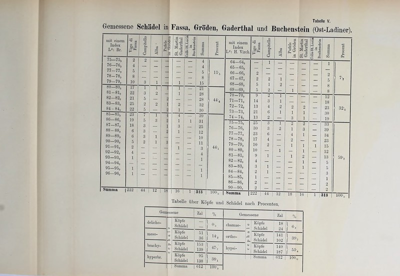 Gemessene Schädel in Fassa, Groden, Gaderthal und Buchenstem (Ost-Ladiner) mit einem ^ CtJ O f=l , S 5 0 75—759 2 2 _ 76—769 4 — 77—779 5 — 78—789 8 79—79g 10 3 1 — l cf GO 1 O 00 17 1 l i 1 81-81, 22 3 2 1 82—82g 21 5 2 00 CO 1 00 JO 25 2 2 i 2 00 1 0O 22 5 — 2 1 85—85g 23 7 1 4 4 86—86g 19 5 3 21 1 oo 1 o- 00 18 3 ij 3 C5 OO 00 i CO 00 6 3 2 1 89—89g 6 3 1 cf 05 1 o 05 5 2 1 3 _ »1-91, 2 — 1 92—92, 4 __ 93—93g 1 I 94—94, — __ 95—950 1 96—96g 1 »Minna 1222 44 | 12 | 18 16 o a 3 'S -3 -g 3 ” 4 4 5 8 15 21 28 28 32 30 11* 39 31 25 12 10 11 3 4 1 — 1 44‘i 313 I 100-,, Tabelle über Köpfe und Schädel nach Procenten. Gemessene Zal % Gemessene Zal % delicho- D ci r- <x> Köpfe Schädel — } o-„ chamae- O ci O O Köpfe Schädel 18 24 } 6'9 meso- Köpfe Schädel 51 36 } ^ ortlio- Köpfe Schädel 141 102 } 39-, brachy- Köpfe Schädel 153 139 ) 47> hypsi- Köpfe Schädel 140 187 } 53-4 hyperbr. Köpfe Schädel 95 138 } 38-, Summa 612 lOO.g Summa 612 | 100g mit einem ^ cä 64—64g — 1 — . 1 65—65g — | — _ 66-66g 2 — — | 2 67—67g 2 2 1 5 68—68g 5 1 2 _ 8 69—69g 5 2 — 1 — — 8 70-70g 9 2 1 1 . 12 _ 18 23 30 74 —74g 13 2 — 3 1 19 33 76—76g 30 3 2 1 3 _ 39 — 1 34 78—78g 17 4 — 2 _ 23 — — 1 12 81-81, 9 1 — 1 2 13 5 1 5 . _ 3 _ 1 00 05 1 00 105 2 — — _ 2 — — 2 oumma 1222 44 12 | 18 16 | 1 (313 | 32v 59-,