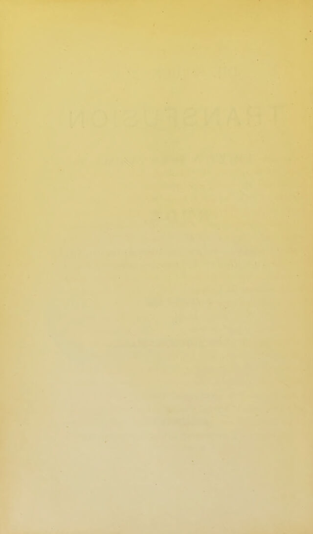 digitised image 2