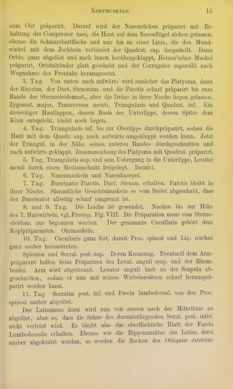 zum Ohr präparirt. Darauf wird der Nasenrücken präparirt mit Er- haltung des Compressor nasi, die Haut auf dem Nasenflügel stehen gelassen, ebenso die Schnurrbartfläche und nur bis zu einer Linie, die den Mund- winkel mit dem Jochbein verbindet der Quadrat, sup. dargestellt. Dann Orbic. ganz abgelöst und nach innen herübergeklappt, Horner’scher Muskel präparirt, Orbitalränder glatt geschabt und der Corrugator supercilii nach 'Wegnahme des Frontalis herausgesetzt. 3. Tag. Von unten nach aufwärts wird zunächst das Platysma, dann der Risorius, der Duct. Stenonian. und die Parotis scharf präparirt bis zum Rande der Sternocleidoinast., aber die Drüse in ihrer Nische liegen gelassen. Zygomat. major, Transversus menti, Triangularis und Quadrat, inf. Ein dreieckiger Hautlappen, dessen Basis der Unterlippe, dessen Spitze dem Kinn entspricht, bleibt noch liegen. 4. Tag. Triangularis inf. bis zur Oberlippe durclipräparirt, sodass die Haut mit dem Quadr. sup. nach aufwärts umgeklappt werden kann. Jetzt der Triangul. in der Nähe seines unteren Randes durch geschnitten und nach aufwärts geklappt. Zusammenhang des Platysma mit Quadrat, präparirt. 5. Tag. Triangularis sup. und sein Uebergang in die Unterlippe, Levator menti durch einen Medianschnitt freigelegt. Incisivi. 6. Tag. Nasenmuskeln und Nasenknorpel. 7. Tag. Buccinator Parotis. Duct. Stenon. erhalten. Parotis bleibt in ihrer Nische. Sämmtliche Gesichtsmuskeln so vom Scelet abgeschabt, dass der Buccinator allseitig scharf umgrenzt ist. 8. und 9. Tag. Die Leiche ist gewendet. Nacken bis zur Höhe des 7. Halswirbels, vgl. Froriep, Fig. VIII. Die Präparation muss vom Sterno- cleidom. aus begonnen werden. Der gesammte Cucullaris gehört dem Kopfpräparanten. Ohrmuskeln. 10. Tag. Cucullaris ganz fort, damit Proc. spinosi und Lig. nuchae ganz sauber heraustreten. Splenius und Serrat. post. sup. Deren Kreuzung. Eventuell dem Arm- präparant helfen beim Präpariren des Levat. anguli scap. und der Rhom- boidei. Arm wird abgetrennt. Levator anguli hart an der Scapula ab- geschnitten, sodass er nun mit seinen Wirbelansätzen scharf herausprä- parirt werden kann. 11. Tag. Serratus post. inf. und Fascia lumbodorsal. von den Proc. spinosi sauber abgelöst. Der Latissimus dorsi wird nun von aussen nach der Mittellinie zu abgelöst, aber so, dass die Sehne des darunterliegenden Serat. post, infer. nicht verletzt wird. Es bleibt also das oberflächliche Blatt der Fascia Lumbodorsalis erhalten. Ebenso wie die Rippenansätze des Latiss. dorsi sauber abgekratzt werden, so werden die Zacken des Obliquus externus