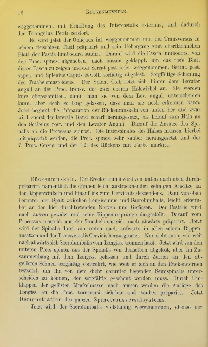 Rückenmuskeln. weggenommen, mit Erhaltung des Intercostalis externus, und dadurch der Triangulus Petiti zerstört. Es wird jetzt der Obliquus int, weggenommen und der Transversus in seinem fleischigen Theil präparirt und sein Uebergang zum oberflächlichen Blatt der Fascia lumbodors. studirt. Darauf wird die Fascia lumbodors. von den Proc. spinosi abgehoben, nach aussen geklappt, um das tiefe Blatt dieser Fascia zu zeigen und der Serrat. post, infer. weggenommen. Serrat. post, super, und Splenius Capitis et Colli sorfältig abgelöst. Sorgfältige Schonung des Trachelomastoideus. Der Spien. Colli setzt sich hinter dem Levator amrali an den Proc. transv. der zwei oberen Halswirbel an. Sie werden o kurz abgeschnitten, damit man sie von dem Lev. angul. unterscheiden kann, aber doch so lang gelassen, dass man sie noch erkennen kann. Jetzt beginnt die Präparation der Rückenmuskeln von unten her und zwar wird zuerst der laterale Rand scharf herausgesetzt, bis herauf zum Hals an den Scalenus post, und den Levator Anguli. Darauf die Ansätze des Spi- nalis an die Processus spinosi. Die Interspinales des Halses müssen hierbei mitpräparirt werden, die Proc. spinosi sehr sauber herausgesetzt und der 7. Proc. Cervic. und der 12. des Rückens mit Farbe markirt. R ü ck e n m u s k e 1 n. Der Erector trunci wird von unten nach oben durch- präparirt, namentlich die dünnen leicht austrocknenden sehnigen Ansätze an den Rippenwinkeln und hinauf bis zum Cervicalis descendens. Dann von oben herunter der Spalt zwischen Longissimus und Sacrolumbalis, leicht erkenn- bar an den hier durchtretenden Nerven und Gefässen. Der Costalis wird nach aussen gewälzt und seine Rippenursprünge dargestellt. Darauf vom Processus mastoid. aus der Trachelomastoid. nach abwärts präparirt. Jetzt wird der Spinalis dorsi von unten nach aufwärts in allen seinen Rippen- ansätzen und der Transversalis Cervicis herausgesetzt. Nun sieht man, wie weit nach abwärts sich Sacrolumbalis vom Longiss. trennen lässt. Jetzt wird von den unteren Proc. spinös, aus der Spinalis von denselben abgelöst, aber im Zu- sammenhang mit dem Longiss. gelassen und durch Zerren an den ab- gelösten Sehnen sorgfältig controlirt, wie weit er sich au den Rückendornen festsetzt, um ihn von dem dicht darunter liegenden Semispinalis unter- scheiden zu können, der sorgfältig geschont werden muss. Durch Um- klappen der gelösten Muskelmasse nach aussen werden die Ansätze des Longiss. an die Proc. transversi sichtbar und sauber präparirt. Jetzt Demonstration des ganzen Spinotransversalsystems. Jetzt wird der Sacrolumbalis vollständig weggenommen, ebenso der