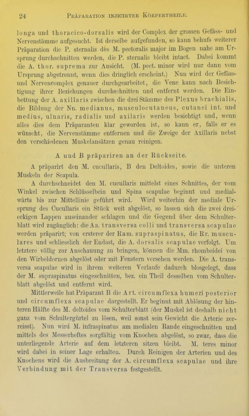 longa und tlioracico-dorsalis wird der Complex der grossen Gefäss- und Nervenstämme aufgesucht. Ist derselbe aufgefunden, so kann behufs weiterer Präparation die P. sternalis des M. pectoralis major im Bogen nahe am Ur- sprung durchschnitten werden, die P. sternalis bleibt intact. Dabei kommt die A. thor. suprema zur Ansicht. (M. pect, minor wird nur dann vom Ursprung abgetrennt, wenn dies dringlich erscheint.) Nun wird der Gefäss- und Nervencomplex genauer durchgearbeitet , die Vene kann nach Besich- tigung ihrer Beziehungen durchschnitten und entfernt werden. Die Ein- bettung der A. axillaris zwischen die drei Stämme des Plexus bracliialis, die Bildung der Nn. medianus, muscnlocutaneus, cutanei int. und medius, ulnaris, radialis und axilaris werden besichtigt und, wenn alles dies dem Präparanten klar geworden ist, so kann er, falls er es wünscht, die Nervenstämme entfernen und die Zweige der Axillaris nebst den verschiedenen Muskelansätzen genau reinigen. A und B präpariren an der Rückseite. A präparirt den M. cucullaris, B den Deltoides, sowie die unteren Muskeln der Scapula. A durchschneidet den M. cucullaris mittelst eines Schnittes, der vom Winkel zwischen Schlüsselbein und Spina scapulae beginnt und medial- wärts bis zur Mittellinie geführt wird. Wird weiterhin der mediale Ur- sprung des Cucullaris ein Stück weit abgelöst, so lassen sich die zwei drei- eckigen Lappen auseinander schlagen und die Gegend über dem Schulter- blatt wird zugänglich: dieAa. transversa colli und transversa scapulae werden präparirt; von ersterer der Rani, supraspinatus, die Rr. muscu- lares und schliesslich der Endast, die A. dorsalis scap ulae verfolgt. Um letztere völlig zur Anschauung zu bringen, können die Mm. rkomboidei von den Wirbeldornen abgelöst oder mit Fenstern versehen werden. Die A. trans- versa scapulae wird in ihrem weiteren Verlaufe dadurch blosgelegt, dass der M. supraspinatus eingeschnitten, bez. ein Theil desselben vom Schulter- blatt abgelöst und entfernt wird. Mittlerweile hat Präparant B die Art, circumflexa liumeri posterior und circumflexa scapulae dargestellt. Er beginnt mit Ablösung der hin- teren Hälfte des M. deltoides vom Schulterblatt (der Muskel ist deshalb nicht ganz vom Schultergürtel zu lösen, weil sonst sein Gewicht die Arterie zer- reisst). Nun wird M. infraspinatus am medialen Rande eingeschnitten und mittels des Messerheftes sorgfältig vom Knochen abgelöst, so zwar, dass die unterliegende Arterie auf dem letzteren sitzen bleibt, M. teres minor wird dabei in seiner Lage erhalten. Durch Reinigen der Arterien und des Knochens wird die Ausbreitung der A. circumflexa scapulae und ihre Verbindung mit der Transversa festgestellt.