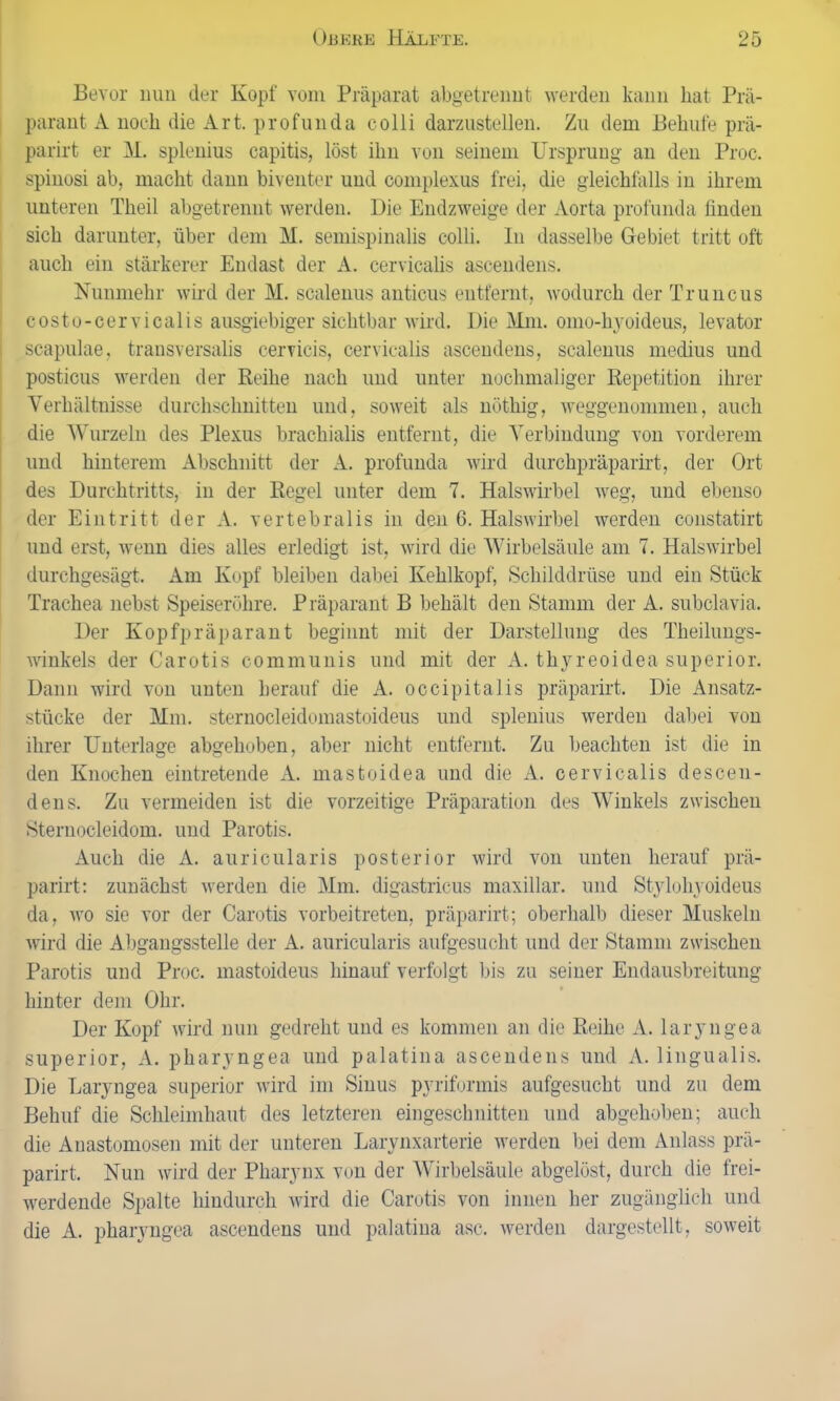 Bevor nun der Kopf vom Präparat abgetrennt werden kann bat Prä- parant A noch die Art. profunda colli darzustellen. Zu dem Behufe prä- parirt er M. splenius capitis, löst ihn von seinem Ursprung an den Proc. spinosi ab, macht dann biventer und complexus frei, die gleichfalls in ihrem unteren Theil abgetrennt werden. Die Endzweige der Aorta profunda finden sich darunter, über dem M. semispinalis colli. In dasselbe Gebiet tritt oft auch ein stärkerer Endast der A. cervicalis ascendens. Nunmehr wird der M. scalenus anticus entfernt, wodurch der Truncus costo-cervicalis ausgiebiger sichtbar wird. Die Mm. omo-hyoideus, levator scapulae, transversalis cervieis, cervicalis ascendens, scalenus medius und posticus werden der Reihe nach und unter nochmaliger Repetition ihrer Verhältnisse durchschnitten und, soweit als nöthig, weggenommen, auch die Wurzeln des Plexus brachialis entfernt, die Verbindung von vorderem und hinterem Abschnitt der A. profunda wird durchpräparirt, der Ort des Durchtritts, in der Regel unter dem 7. Halswirbel weg, und ebenso der Eintritt der A. vertebralis in den 6. Halswirbel werden constatirt und erst, wenn dies alles erledigt ist, wird die Wirbelsäule am 7. Halswirbel durchgesägt. Am Kopf bleiben dabei Kehlkopf, Schilddrüse und ein Stück Trachea nebst Speiseröhre. Präparant B behält den Stamm der A. subclavia. Der Kopfpräparant beginnt mit der Darstellung des Theilungs- winkels der Carotis communis und mit der A. thyreoidea superior. Dann wird von unten herauf die A. occipitalis präparirt. Die Ansatz- stücke der Mm. sternocleidomastoideus und splenius werden dabei von ihrer Unterlage abgehoben, aber nicht entfernt. Zu beachten ist die in den Knochen eintretende A. mastoidea und die A. cervicalis descen- dens. Zu vermeiden ist die vorzeitige Präparation des Winkels zwischen Sternocleidom. und Parotis. Auch die A. auricularis posterior wird von unten herauf prä- parirt: zunächst werden die Mm. digastricus maxillar. und Styloliyoideus da, wo sie vor der Carotis vorbei treten, präparirt; oberhalb dieser Muskeln wird die Abgangsstelle der A. auricularis aufgesucht und der Stamm zwischen Parotis und Proc. mastoideus hinauf verfolgt bis zu seiner Endausbreitung hinter dem Ohr. Der Kopf wird nun gedreht und es kommen an die Reihe A. laryngea superior, A. pharyngea und palatina ascendens und A. lingualis. Die Laryngea superior wird im Sinus pyrifonnis aufgesucht und zu dem Behuf die Schleimhaut des letzteren eingeschnitten und abgehoben; auch die Anastomosen mit der unteren Larynxarterie werden bei dem Anlass prä- parirt. Nun wird der Pharynx von der Wirbelsäule abgelöst, durch die frei- werdende Spalte hindurch wird die Carotis von innen her zugänglich und die A. pharyngea ascendens und palatina asc. werden dargestellt, soweit