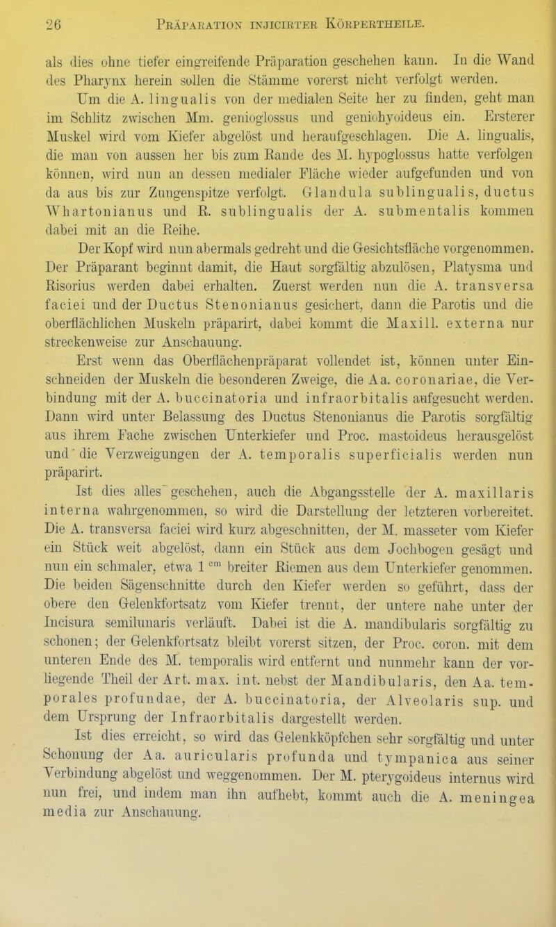 als dies ohne tiefer eingreifende Präparation geschehen kann. In die Wand des Pharynx herein sollen die Stämme vorerst nicht verfolgt werden. Um die A. lingualis von der medialen Seite her zu finden, geht man im Schlitz zwischen Mm. genioglossus und geniohyoideus ein. Erstem- Muskel wird vom Kiefer abgelöst und heraufgeschlagen. Die A. lingualis, die man von aussen her bis zum Rande des M. hypoglossus hatte verfolgen können, wird nun an dessen medialer Fläche wieder aufgefunden und von da aus bis zur Zungenspitze verfolgt. Glandula sublingualis, ductus Whartonianus und R. sublingualis der A. submentalis kommen dabei mit an die Reihe. Der Kopf wird nun abermals gedreht und die Gesichtsfläche vorgenommen. Der Präparant beginnt damit, die Haut sorgfältig abzulösen, Platysma und Risorius werden dabei erhalten. Zuerst werden nun die A. transversa faciei und der Ductus Stenonianus gesichert, dann die Parotis und die oberflächlichen Muskeln präparirt, dabei kommt die Maxi 11. externa nur streckenweise zur Anschauung. Erst wenn das Oberflächenpräparat vollendet ist, können unter Ein- schneiden der Muskeln die besonderen Zweige, die Aa. coronariae, die Ver- bindung mit der A. buccinatoria und infraorbitalis aufgesucht werden. Dann wird unter Belassung des Ductus Stenonianus die Parotis sorgfältig aus ihrem Fache zwischen Unterkiefer und Proc. mastoideus herausgelöst und die Verzweigungen der A. temporalis superficialis werden nun präparirt. Ist dies alles' geschehen, auch die Abgangsstelle der A. maxillaris interna wahrgenommen, so wird die Darstellung der letzteren vorbereitet. Die A. transversa faciei wird kurz abgeschnitten, der M. masseter vom Kiefer ein Stück weit abgelöst, dann ein Stück aus dem Jochbogen gesägt und nun ein schmaler, etwa 1cra breiter Riemen aus dem Unterkiefer genommen. Die beiden Sägenschnitte durch den Kiefer werden so geführt, dass der obere den Gelenkfortsatz vom Kiefer trennt, der untere nahe unter der Incisura semilunaris verläuft. Dabei ist die A. mandibularis sorgfältig zu schonen; der Gelenkfortsatz bleibt vorerst sitzen, der Proc. coron. mit dem unteren Eude des M. temporalis wird entfernt und nunmehr kann der vor- liegende Theil der Art. max. int. nebst der Mandibularis, den Aa. tem- porales profundae, der A. buccinatoria, der Alveolaris sup. und dem Ursprung der Infraorbitalis dargestellt werden. Ist dies erreicht, so wird das Gelenkköpfchen sehr sorgfältig und unter Schonung dei Aa. auricularis profunda und tympanica aus seiner Verbindung abgelöst und weggenommen. Der M. pterygoideus internus wird nun fiei, und indem man ihn aufhebt, kommt auch die A. meningea media zur Anschauung.