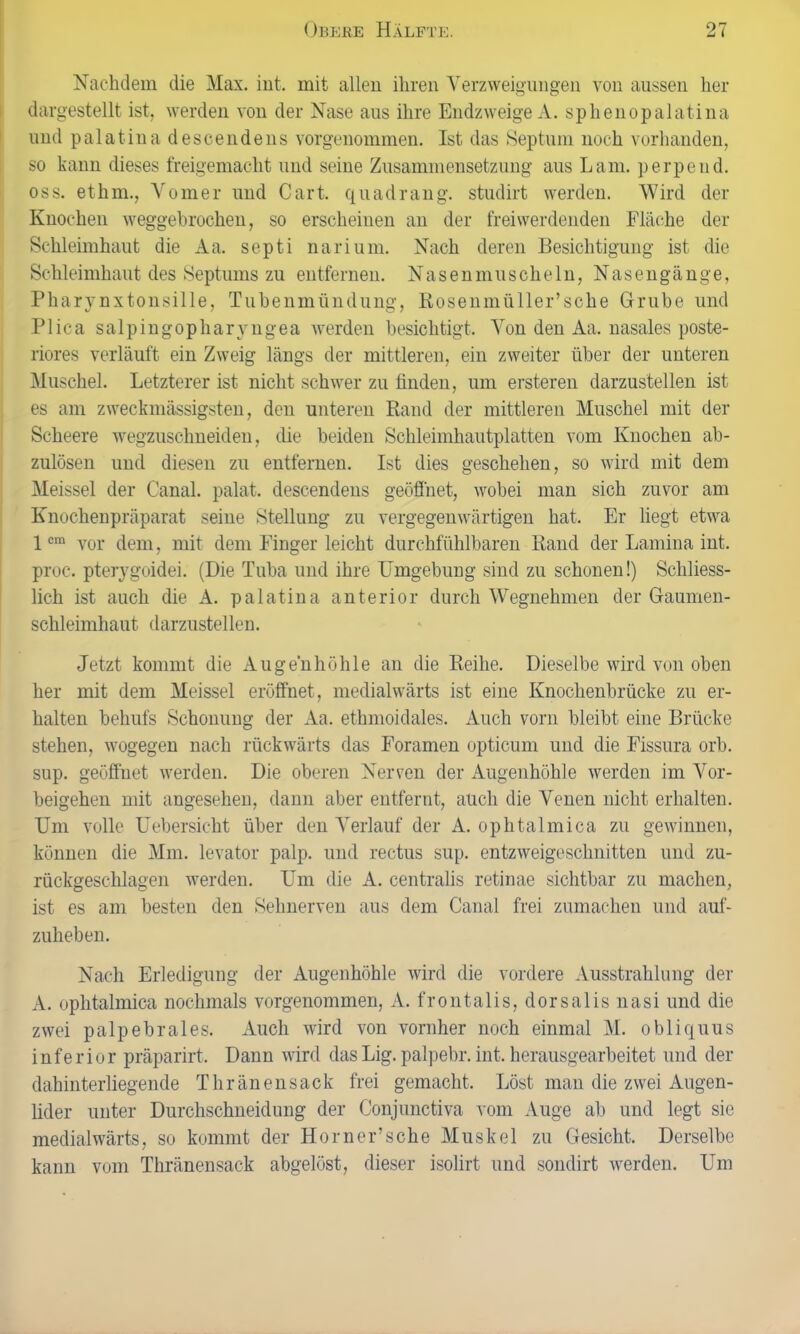 Nachdem die Max. int. mit allen ihren Verzweigungen von aussen her dargestellt ist, werden von der Nase aus ihre Endzweige A. sphenopalatina und palatiua descendens vorgenommen. Ist das Septum noch vorhanden, so kann dieses freigemacht und seine Zusammensetzung aus Lam. perpend. oss. ethm., Vomer und Cart. quadrang. studirt werden. Wird der Knochen weggebrochen, so erscheinen an der frei werdenden Fläche der Schleimhaut die Aa. septi narium. Nach deren Besichtigung ist die Schleimhaut des Septums zu entfernen. Nasenmuscheln, Nasengänge, Pharynxtonsille, Tubenmündung, Rosenmüller’sche Grube und Plica salpingopharyngea werden besichtigt. Von den Aa. nasales poste- riores verläuft ein Zweig längs der mittleren, ein zweiter über der unteren Muschel. Letzterer ist nicht schwer zu finden, um ersteren darzustellen ist es am zweckmässigsten, den unteren Rand der mittleren Muschel mit der Scheere wegzuschneiden, die beiden Schleimhautplatten vom Knochen ab- zulösen und diesen zu entfernen. Ist dies geschehen, so wird mit dem Meissei der Canal, palat. descendens geöffnet, wobei man sich zuvor am Knochenpräparat seine Stellung zu vergegenwärtigen hat. Er liegt etwa 1 cm vor dem, mit dem Finger leicht durchfühlbaren Rand der Lamina int. proc. pterygoidei. (Die Tuba und ihre Umgebung sind zu schonen!) Schliess- lich ist auch die A. palatina anterior durchwegnehmen der Gaumen- schleimhaut darzustellen. Jetzt kommt die Augenhöhle an die Reihe. Dieselbe wird von oben her mit dem Meissei eröffnet, medialwärts ist eine Knochenbrücke zu er- halten behufs Schonung der Aa. ethmoidales. Auch vorn bleibt eine Brücke stehen, wogegen nach rückwärts das Foramen opticum und die Fissura orb. sup. geöffnet werden. Die oberen Nerven der Augenhöhle werden im Vor- beigehen mit angesehen, dann aber entfernt, auch die Venen nicht erhalten. Um volle Uebersicht über den Verlauf der A. ophtalmica zu gewinnen, können die Mm. levator palp. und rectus sup. entzweigeschnitten und zu- rückgeschlagen werden. Um die A. centralis retinae sichtbar zu machen, ist es am besten den Sehnerven aus dem Canal frei zumachen und auf- zuheben. Nach Erledigung der Augenhöhle wird die vordere Ausstrahlung der A. ophtalmica nochmals vorgenommen, A. frontalis, dorsalis nasi und die zwei palpebrales. Auch wird von vornher noch einmal M. obliquus inferior präparirt. Dann wird dasLig.palpebr.int.herausgearbeitet und der dahinterliegende Thränensack frei gemacht. Löst man die zwei Augen- lider unter Durchschneidung der Conjunctiva vom Auge ab und legt sie medialwärts, so kommt der Horn er’sehe Muskel zu Gesicht. Derselbe kann vom Thränensack abgelöst, dieser isolirt und sondirt werden. Um