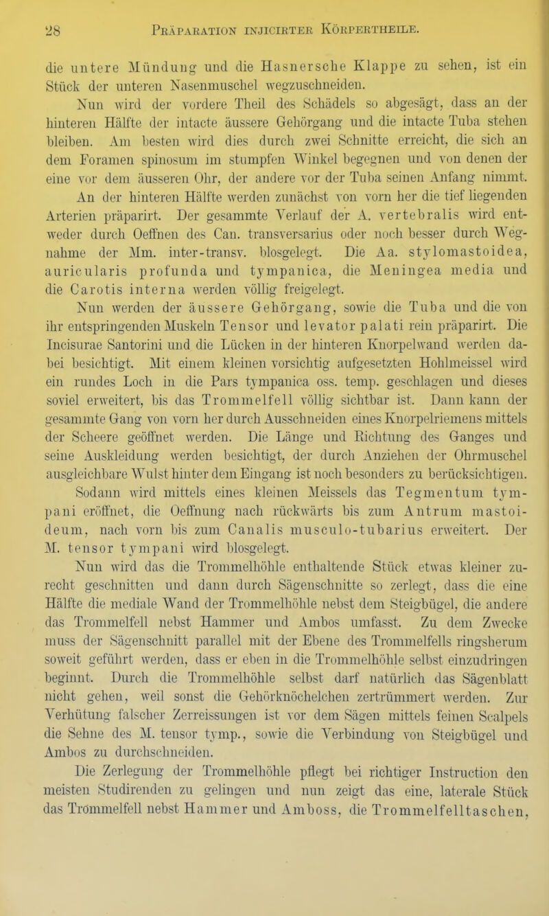 die untere Mündung und die Hasnersche Klappe zu sehen, ist ein Stück der unteren Nasenmuschel wegzuschneiden. Nun wird der vordere Theil des Schädels so abgesägt, dass an der hinteren Hälfte der intacte äussere Gehörgang und die intacte Tuba stehen bleiben. Am besten wird dies durch zwei Schnitte erreicht, die sich an dem Foramen spinosum im stumpfen Winkel begegnen und von denen der eine vor dem äusseren Ohr, der andere vor der Tuba seinen Anfang nimmt. An der hinteren Hälfte werden zunächst von vorn her die tief liegenden Arterien präparirt. Der gesammte Verlauf der A. vertebralis wird ent- weder durch Oeffhen des Can. transversarius oder noch besser durch Weg- nahme der Mm. inter-transv. blosgelegt. Die Aa. stylomastoidea, auricularis profunda und tympanica, die Meningea media und die Carotis interna werden völlig freigelegt. Nun werden der äussere Ge hör gang, sowie die Tuba und die von ihr entspringenden Muskeln Tensor und levator palati rein präparirt. Die Incisurae Santorini und die Lücken in der hinteren Knorpelwand werden da- bei besichtigt. Mit einem kleinen vorsichtig aufgesetzten Hohlmeissei wird ein rundes Loch in die Pars tympanica oss. temp. geschlagen und dieses soviel erweitert, bis das Trommelfell völlig sichtbar ist. Dann kann der gesammte Gang von vorn her durch Ausschneiden eines Knorpelriemens mittels der Scheere geöffnet werden. Die Länge und Richtung des Ganges und seine Auskleidung werden besichtigt, der durch Anziehen der Ohrmuschel ausgleichbare Wulst hinter dem Eingang ist noch besonders zu berücksichtigen. Sodann wird mittels eines kleinen Meisseis das Tegmentum tym- pani eröffnet, die Oeffnung nach rückwärts bis zum Antrum mastoi- deurn, nach vorn bis zum Canalis musculo-tubarius erweitert. Der M. tensor tympani wird 1 dosgelegt. Nun wird das die Trommelhöhle enthaltende Stück etwas kleiner zu- recht geschnitten und dann durch Sägenschnitte so zerlegt, dass die eine Hälfte die mediale Wand der Trommelhöhle nebst dem Steigbügel, die andere das Trommelfell nebst Hammer und Ambos umfasst. Zu dem Zwecke muss der Sägenschnitt parallel mit der Ebene des Trommelfells ringsherum soweit geführt werden, dass er eben in die Trommelhöhle selbst einzudringen beginnt. Durch die Trommelhöhle selbst darf natürlich das Sägenblatt nicht gehen, weil sonst die Gehörknöchelchen zertrümmert werden. Zur Verhütung falscher Zerreissungen ist vor dem Sägen mittels feinen Scalpels die Sehne des M. tensor tymp., sowie die Verbindung von Steigbügel und Ambos zu durchschneiden. Die Zerlegung der Trommelhöhle pflegt bei richtiger Instruction den meisten Studirenden zu gelingen und nun zeigt das eine, laterale Stück das Trommelfell nebst Hammer und Amboss, die Trommelfelltaschen,