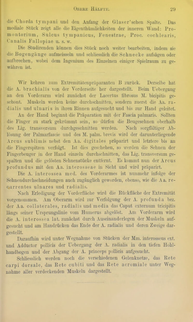 die Chorda ty mpani und den Anfang der Glas er’sehen Spalte. Das mediale Stück zeigt alle die Eigentümlichkeiten der inneren Wand: Pro- montorium, Sulcus tvmpanicus, Fenestrae, Proc. cochlearis, C’analis Fallopiae u. s. w. Die Studirenden können dies Stück noch weiter bearbeiten, indem sie die Bogengänge aufmeisseln und schliesslich die Schnecke aufsägen oder aufbrechen, wobei dem Ingenium des Einzelnen einiger Spielraum zu ge- währen ist. Wir kehren zum Extremitätenpräparanten B zurück. Derselbe hat die A. brachialis von der Vorderseite her dargestellt. Beim Uebergang an den Vorderarm wird zunächst der Lacertus fibrosus M. bicipitis ge- schont. Muskeln werden keine durchschnitten, sondern zuerst die Aa. ra- dial is und ulnaris in ihren Binnen aufgesucht und bis zur Hand geleitet. An der Hand beginnt die Präparation mit der Fascia palmaris. Sollten die Finger zu stark gekrümmt sein, so dürfen die Beugesehnen oberhalb des Big. transversum durchgeschnitten werden. Nach sorgfältiger Ab- lösung der Palmarfascie und des M. palm. brevis wird der darunterliegende Arcus sublim is nebst den Aa. digitales präparirt und letztere bis an die Fingerspitzen verfolgt. Ist dies geschehen, so werden die Sehnen der Fingerbeuger in der Hand einzeln durchschnitten, das Lig. transversum ge- spalten und die gelösten Sehnenstücke entfernt. Es kommt nun der Arcus profundus mit den Aa. interosseae in Sicht und wird präparirt. Die A. interossea med. des Vorderarmes ist nunmehr infolge der Sehnendurchschneidungen auch zugänglich geworden, ebenso, wie die Aa. re- kurrentes ulnares und radialis. Nach Erledigung der Vorderfläche wird die Rückfläche der Extremität vorgenommen. Am Oberarm wird zur Verfolgung der A profunda bez. der Aa. collaterales, radialis und media das Caput externum tricipitis längs seiner Ursprungslinie vom Humerus abgelöst. Am Vorderarm wird die A. interossea lat. zunächst durch Auseinanderlegen der Muskeln auf- gesucht und am Handrücken das Ende der A. radialis und deren Zweige dar- gestellt. Daraufhin wird unter Wegnahme von Stücken der Mm. interosseus ext. und Adductor pollicis der Uebergang der A. radialis in den tiefen Hohl- handbogen und der Abgang der A. princeps pollicis aufgesucht. Schliesslich werden noch die verschiedenen Gelenknetze, das Rete carpi dorsale, das Rete cubiti und das Rete acromiale unter AVeg- nahme aller verdeckenden Muskeln dargestellt.