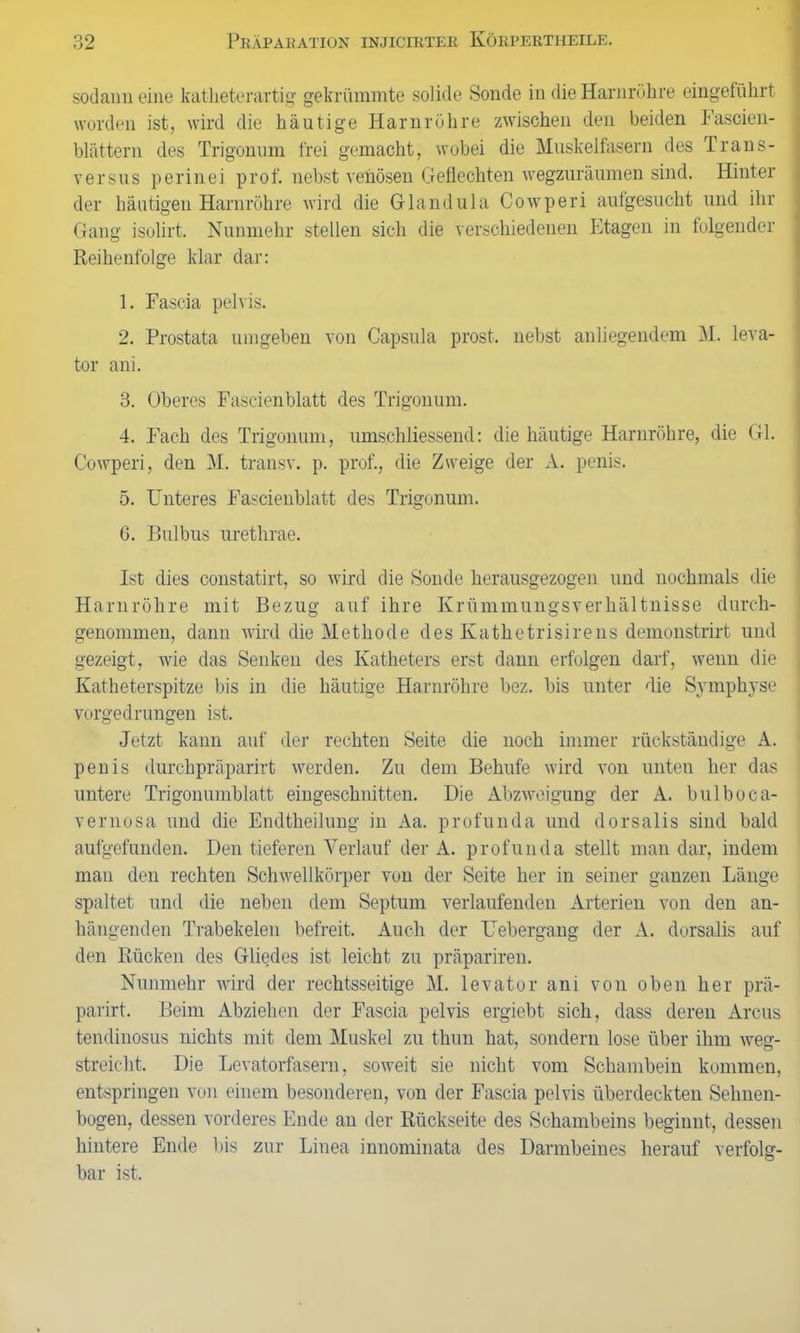 sodann eine katlieterartig gekrümmte solide Sonde in die Harnröhre eingeführt worden ist, wird die häutige Harnröhre zwischen den beiden Fascien- blättern des Trigonum frei gemacht, wobei die Muskelfasern des Trans- versus perin ei prof. nebst venösen Geflechten wegzuräumen sind. Hinter der häutigen Harnröhre wird die Glandula Cowperi aufgesucht und ihr Gang isolirt. Nunmehr stellen sich die verschiedenen Etagen in folgender Reihenfolge klar dar: 1. Fascia pelvis. 2. Prostata umgeben von Capsula prost, nebst anliegendem M. leva- tor ani. 3. Oberes Fascienblatt des Trigonum. 4. Fach des Trigonum, umschliessend: die häutige Harnröhre, die Gl. Cowperi, den M. transv. p. prof., die Zweige der A. penis. 5. Unteres Fascienblatt des Trigonum. 6. Bulbus urethrae. Ist dies constatirt, so wird die Sonde herausgezogen und nochmals die Harnröhre mit Bezug auf ihre Krümmungsverhältnisse durch- genommen, dann wird die Methode des Käthetrisire ns demonstrirt und gezeigt, wie das Senken des Katheters erst dann erfolgen darf, wenn die Katheterspitze bis in die häutige Harnröhre bez. bis unter die Symphyse vorgedrungen ist. Jetzt kann auf der rechten Seite die noch immer rückständige A. penis durchpräparirt werden. Zu dem Behufe wird von unten her das untere Trigonumblatt eingeschnitten. Die Abzweigung der A. bulboca- vernosa und die Endtheilung in Aa. profunda und dorsalis sind bald aufgefunden. Den tieferen Verlauf der A. profunda stellt man dar, indem man den rechten Schwellkörper von der Seite her in seiner ganzen Länge spaltet und die neben dem Septum verlaufenden Arterien von den an- hängenden Trabekelen befreit. Auch der Uebergang der A. dorsalis auf den Rücken des Gliedes ist leicht zu präpariren. Nunmehr wird der rechtsseitige M. levator ani von oben her prä- parirt. Beim Abziehen der Fascia pelvis ergiebt sich, dass deren Arcus tendinosus nichts mit dem Muskel zu thun hat, sondern lose über ihm weg- streiclit. Die Levatorfasern, soweit sie nicht vom Schambein kommen, entspringen von einem besonderen, von der Fascia pelvis überdeckten Selmen- bogen, dessen vorderes Ende an der Rückseite des Schambeins beginnt, dessen hintere Ende bis zur Linea innominata des Darmbeines herauf verfolg- bar ist.