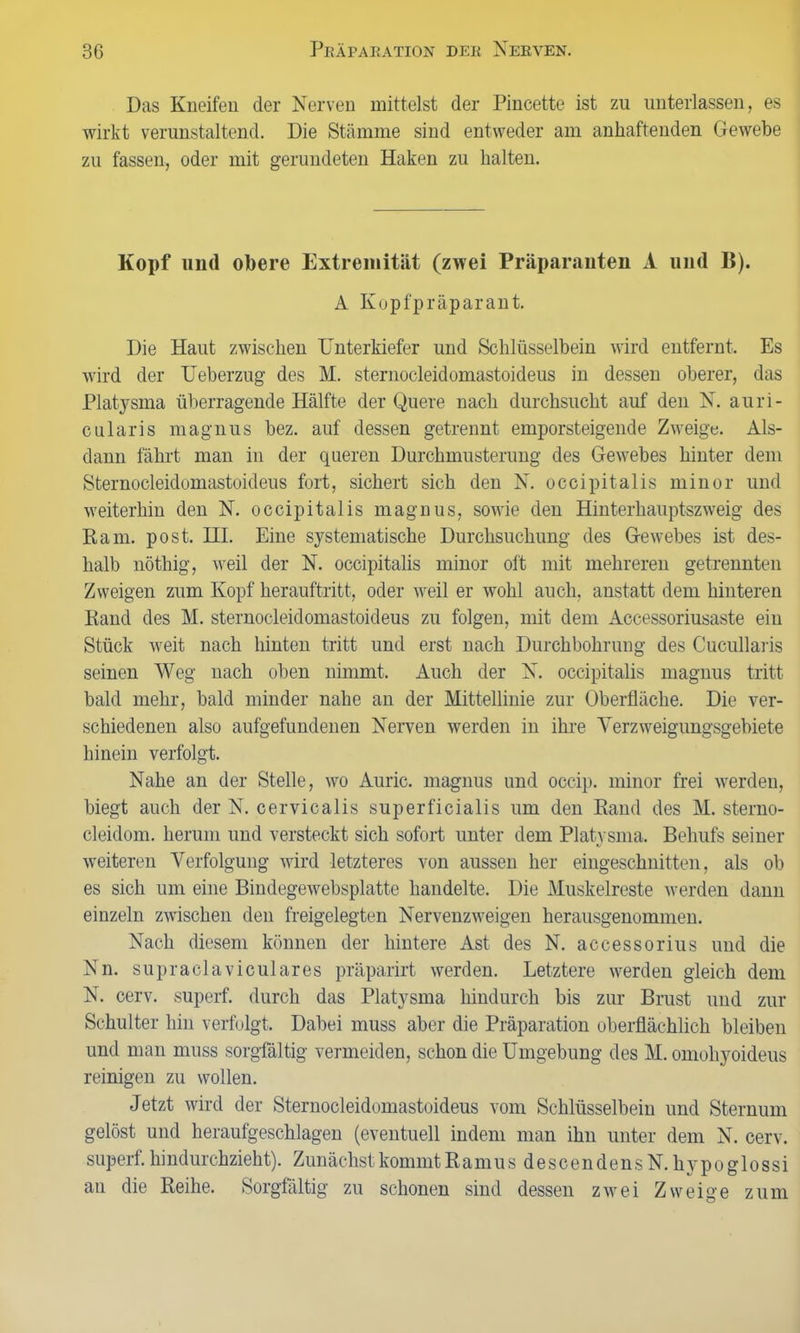 Das Kneifen der Nerven mittelst der Pincette ist zu unterlassen, es wirkt verunstaltend. Die Stämme sind entweder am anhaftenden Gewebe zu fassen, oder mit gerundeten Haken zu halten. Kopf und obere Extremität (zwei Präparanten A und B). A Kopfpräparant. Die Haut zwischen Unterkiefer und Schlüsselbein wird entfernt. Es wird der Leberzug des M. sternocleidomastoideus in dessen oberer, das Platysma überragende Hälfte der Quere nach durchsucht auf den N. auri- cularis magnus bez. auf dessen getrennt emporsteigende Zweige. Als- dann fährt man in der queren Durchmusterung des Gewebes hinter dem Sternocleidomastoideus fort, sichert sich den N. occipitalis minor und weiterhin den N. occipitalis magnus, sowie den Hinterhauptszweig des Rani. post. HI. Eine systematische Durchsuchung des Gewebes ist des- halb nöthig, weil der N. occipitalis minor oft mit mehreren getrennten Zweigen zum Kopf herauftritt, oder weil er wohl auch, anstatt dem hinteren Rand des M. sternocleidomastoideus zu folgen, mit dem Accessoriusaste ein Stück weit nach hinten tritt und erst nach Durchbohrung des Cucullaris seinen Weg nach oben nimmt. Auch der N. occipitalis magnus tritt bald mehr, bald minder nahe an der Mittellinie zur Oberfläche. Die ver- schiedenen also aufgefundenen Nerven werden in ihre Yerzweigungsgebiete hinein verfolgt. Nahe an der Stelle, wo Auric. magnus und occip. minor frei werden, biegt auch der N. cervicalis superficialis um den Rand des M. sterno- cleidom. herum und versteckt sich sofort unter dem Platysma. Behufs seiner weiteren Verfolgung wird letzteres von aussen her eingeschnitten, als ob es sich um eine Bindegewebsplatte handelte. Die Muskelreste werden dann einzeln zwischen den freigelegten Nervenzweigen herausgenommen. Nach diesem können der hintere Ast des N. accessorius und die Nn. supraclaviculares präparirt werden. Letztere werden gleich dem N. cerv. superf. durch das Platysma hindurch bis zur Brust und zur Schulter hin verfolgt. Dabei muss aber die Präparation oberflächlich bleiben und man muss sorgfältig vermeiden, schon die Umgebung des M. omohyoideus reinigen zu wollen. Jetzt wird der Sternocleidomastoideus vom Schlüsselbein und Sternum gelöst und heraufgeschlagen (eventuell indem man ihn unter dem N. cerv. superf. hindurchzieht). Zunächst kommt Ramus descendensN.hypoglossi au die Reihe. Sorgfältig zu schonen sind dessen zwei Zweige zum
