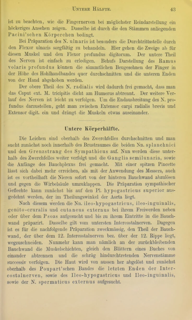 ist zu beachten, wie die Fingernerven bei möglichster Reindarstellung ein höckeriges Ansehen zeigen. Dasselbe ist durch die den Stämmen anliegenden Pacini’schen Körperchen bedingt. Bei Präparation des N. ulnaris ist besonders die Durchtrittsstelle durch den Flexor ulnaris sorgfältig zu behandeln. Hier gehen die Zweige ab für diesen Muskel und den Flexor profundus digitorum. Der untere Theil des Nerven ist einfach zu erledigen. Behufs Darstellung des Ramus volaris profundus können die sämmtlichen Beugesehnen der Finger in der Höhe des Hohlhandbandes quer durchschnitten und die unteren Enden von der Hand abgehoben werden. Der obere Theil des N. radialis wird dadurch frei gemacht, dass man das Caput ext. M. tricipitis dicht am Humerus abtrennt. Der weitere Ver- lauf des Nerven ist leicht zu verfolgen. Um die Endausbreitung des N. pro- fundus darzustellen, geht man zwischen Extensor carpi radialis brevis und Extensor digit. ein und drängt die Muskeln etwas auseinander. Untere Körperhälfte. Die Leichen sind oberhalb des Zwerchfelles durchschnitten und man sucht zunächst noch innerhalb des Brustraumes die beiden Nn. splanchnici und den Grenzstrang des Sympathicus auf. Nun werden diese unter- halb des Zwerchfelles weiter verfolgt und die Ganglia semilunaria, sowie die Anfänge des Bauchplexus frei gemacht. Mit einer spitzen Pincette lässt sich dabei mehr erreichen, als mit der Anwendung des Messers, auch ist es vortheilhaft die Nieren sofort von der hinteren Bauchwand abzulösen und gegen die Wirbelsäule umzuklappen. Die Präparation sympathischer Geflechte kann zunächst bis auf den PL hypogastricus superior aus- gedehnt werden, der im Theilungswinkel der Aorta liegt. Nach diesem werden die Nn. ileo-hypogastricus, ileo-inguinalis, genito-cruralis und cutaneus externus bei ihrem Freiwerden neben oder über dem Psoas aufgesucht und bis zu ihrem Eintritte in die Bauch- wand präparirt. Dasselbe gilt vom untersten Intercostalnerven. Dagegen ist es für die nachfolgende Präparation zweckmässig, den Theil der Bauch- wand, der über dem 12. Intercostalnerven bez. über der 12. Rippe liegt, wegzuschneiden. Nunmehr kann man nämlich au der zurückbleibenden Bauchwand die Muskelschichten, gleich den Blättern eines Buches von einander abtrennen und die schräg hindurchtretenden Nervenstännne successiv verfolgen. Die Haut wird vou aussen her abgelöst und zunächst oberhalb des Poupart’sehen Bandes die letzten Enden der Inter- costalnerven, sowie des Ileo-hypogastricus und Ileo-inguinalis, sowie der N. spermaticus externus aufgesucht.