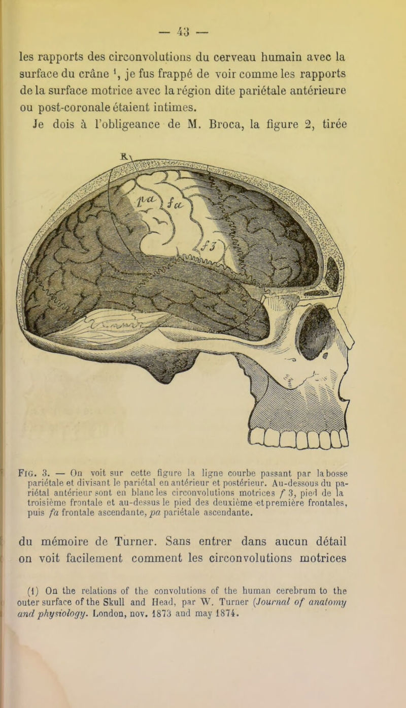 les rapports des circonvolutions du cerveau humain avec la surface du crâne je fus frappé de voir comme les rapports de la surface motrice avec la région dite pariétale antérieure ou post-coronale étaient intimes. Je dois à l’obligeance de M. Broca, la figure 2, tirée Fig. 3. — On voit sur cette figure la ligne courbe passant par la bosse pariétale et divisant le pariétal en antérieur et postérieur. Au-dessous du pa- riétal antérieur sont en blanc les circonvolutions motrices fS, pied de la troisième frontale et au-dessus le pied des deuxième -etpremière frontales, puis fa frontale ascendante,/)» pariétale ascendante. du mémoire de Turner. Sans entrer dans aucun détail on voit facilement comment les circonvolutions motrices (1) On the relations of the convolutions of the human cerebrum to the outer surface of the Skull and Head, par W. Turner (.Journal of anatomy and phydology. London, nov. 1873 and may 1874.