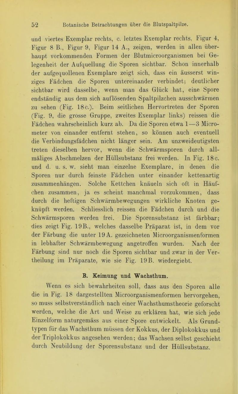 und viertes Exemplar rechts, c. letztes Exemplar rechts, Figur 4, Figur 8 B., Figur 9, Figur 14 A., zeigen, werden in allen über- haupt vorkommenden Formen der Blutmicroorganismen bei Ge- legenheit der Aufquellung die Sporen sichtbar. Schon innerhalb der aufgequollenen Exemplare zeigt sich, dass ein äusserst win- ziges Fädchen die Sporen untereinander verbindet; deutlicher sichtbar wird dasselbe, wenn man das Glück hat, eine Spore endständig aus dem sich auflösenden Spaltpilzchen ausschwärmen zu sehen (Fig. 18 c.). Beim seitlichen Hervortreten der Sporen (Fig. 9, die grosse Gruppe, zweites Exemplar links) reissen die Fädchen wahrscheinlich kurz ab. Da die Sporen etwa 1—3 Micro- meter von einander entfernt stehen, so können auch eventuell die Verbindungsfädchen nicht länger sein. Am unzweideutigsten treten dieselben hervor, wenn die Schwärmsporen durch all- mäliges Abschmelzen der Hüllsubstanz frei werden. In Fig. 18 c. und d. u. s. w. sieht man einzelne Exemplare, in denen die Sporen nur durch feinste Fädchen unter einander kettenartig Zusammenhängen. Solche Kettchen knäueln sich oft in Häuf- chen zusammen, ja es scheint manchmal vorzukommen, dass durch die heftigen Schwärmbewegungen wirkliche Knoten ge- knüpft werden. Schliesslich reissen die Fädchen durch und die Schwärmsporen werden frei. Die Sporensubstanz ist färbbar; dies zeigt Fig. 19B., welches dasselbe Präparat ist, in dem vor der Färbung die unter 19 A. gezeichneten Microorganismenformen in lebhafter Schwärmbewegung angetroffen wurden. Nach der Färbung sind nur noch die Sporen sichtbar und zwar in der Ver- theilung im Präparate, wie sie Fig. 19B. wiedergiebt. B. Keimung und Wachsthum. Wenn es sich bewahrheiten soll, dass aus den Sporen alle die in Fig. 18 dargestellten Microorganismenformen hervorgehen, so muss selbstverständlich nach einer Wachsthumstheorie geforscht werden, welche die Art und Weise zu erklären hat, wie sich jede Einzelform naturgemäss aus einer Spore entwickelt. Als Grund- typen für das Wachsthum müssen der Kokkus, der Diplokokkus und der Triplokokkus angesehen werden; das Wachsen selbst geschieht durch Neubildung der Sporensubstanz und der Hüllsubstanz.
