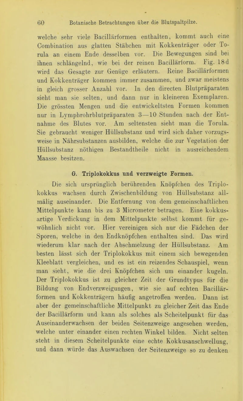 welche sehr viele Bacillärformen enthalten, kommt auch eine Combination aus glatten Stäbchen mit Kokkenträger oder To- rula an einem Ende desselben vor. Die Bewegungen sind bei ihnen schlängelnd, wie bei der reinen Bacillärlorm. Fig. 18d wird das Gesagte zur Genüge erläutern. Reine Bacillärformen und Kokkenträger kommen immer zusammen, und zwar meistens in gleich grosser Anzahl vor. In den directen Blutpräparaten sieht man sie selten, und dann nur in kleineren Exemplaren. Die grössten Mengen und die entwickeltsten Formen kommen nur in Lymphrohrblutpräparaten 3—10 Stunden nach der Ent- nahme des Blutes vor. Am seltensten sieht man die Torula. Sie gebraucht weniger Hüllsubstanz und wird sich daher vorzugs- weise in Nährsubstanzen ausbilden, welche die zur Vegetation der Hüllsubstanz nöthigen Bestandtheile nicht in ausreichendem Maasse besitzen. G. Triplokokkus und verzweigte Formen. Die sich ursprünglich berührenden Knöpfchen des Triplo- kokkus wachsen durch Zwischenbildung von Hüllsubstanz all- mälig auseinander. Die Entfernung von dem gemeinschaftlichen Mittelpunkte kann bis zu 3 Micrometer betragen. Eine kokkus- artige Verdickung in dem Mittelpunkte selbst kommt für ge- wöhnlich nicht vor. Hier vereinigen sich nur die Fädchen der Sporen, welche in den Endknöpfchen enthalten sind. Das wird wiederum klar nach der Abschmelzung der Hüllsubstanz. Am besten lässt sich der Triplokokkus mit einem sich bewegenden Kleeblatt vergleichen, und es ist ein reizendes Schauspiel, wenn man sieht, wie die drei Knöpfchen sich um einander kugeln. Der Triplokokkus ist zu gleicher Zeit der Grundtypus für die Bildung von Endverzweigungen, wie sie auf echten Bacillär- formen und Kokkenträgern häufig angetroffen werden. Dann ist aber der gemeinschaftliche Mittelpunkt zu gleicher Zeit das Ende der Bacillärform und kann als solches als Scheitelpunkt für das Auseinanderwachsen der beiden Seitenzweige angesehen werden, welche unter einander einen rechten Winkel bilden. Nicht selten steht in diesem Scheitelpunkte eine echte Kokkusanschwellung, und dann würde das Auswachsen der Seitenzweige so zu denken