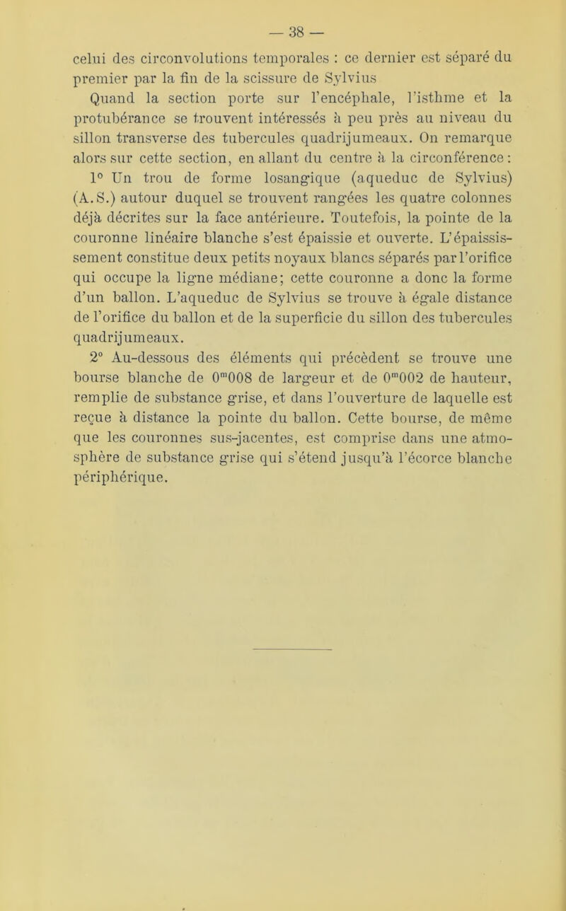 38 — celui des circonvolutions temporales : ce dernier est séparé du premier par la fin de la scissure de Sylviiis Quand la section porte sur l’encéphale, l’isthme et la protubérance se trouvent intéressés à peu près au niveau du sillon transverse des tubercules quadrijumeaux. On remarque alors sur cette section, en allant du centre à la circonférence: P Un trou de forme losang^ique (aqueduc de Sylvius) (A. S.) autour duquel se trouvent rang“ées les quatre colonnes déjà décrites sur la face antérieure. Toutefois, la pointe de la couronne linéaire blanche s’est épaissie et ouverte. L’épaissis- sement constitue deux petits noyaux blancs séparés par l’orifice qui occupe la lig-ne médiane; cette couronne a donc la forme d’un ballon. L’aqueduc de Sylvius se ti’ouve à égale distance de l’orifice du ballon et de la superficie du sillon des tubercules quadrijumeaux. 2“ Au-dessous des éléments qui précèdent se trouve une bourse blanche de O^OOS de larg'eur et de 0’002 de hauteur, remplie de substance grise, et dans l’ouverture de laquelle est reçue à distance la pointe du ballon. Cette bourse, de même que les couronnes sus-jacentes, est comprise dans une atmo- sphère de substance grise qui s’étend jusqu’à l’écorce blanche périphérique.