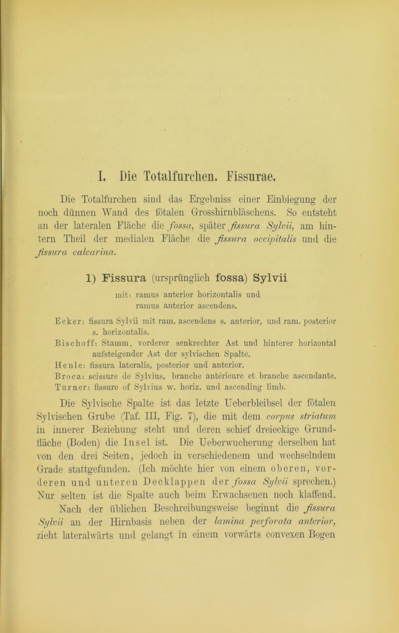 I. Die Totalfurchen. Fissurae. Die Totalfurchen sind das Ergehniss einer Einbiegung der noch dünnen Wand des fötalen Grosshirnbläschens. So entsteht an der lateralen Fläche die fossci, später fissura Sylvii, am hin- tern Theil der medialen Fläche die fissura occipitalis und die fissura calcarina. 1) Fissura (ursprünglich fossa) Sylvii mit: ramus anterior horizontalis und ramus anterior ascendens. Ecker-, fissura Sylvii mit ram. ascendens s. anterior, und ram. posterior s. horizontalis. Bischoff: Stamm, vorderer senkrechter Ast und hinterer horizontal aufsteigender Ast der sylvischen Spalte. He nie: fissura lateralis, posterior und anterior. Broca: scissure de Sylvins, branche anterieure et branche ascendante. Turner: fissure of Sylvius w. horiz. und ascending limb. Die Sy Irische Spalte ist das letzte Ueberbleibsel der fötalen Sylvischen Grube (Taf. III, Fig. 7), die mit dem corpus striatum in innerer Beziehung steht und deren schief dreieckige Grund- fläche (Boden) che Insel ist. Die Ueberwuclieruug derselben hat von den drei Seiten, jedoch in verschiedenem und wechselndem Grade stattgefunden. (Ich möchte hier von einem oberen, vor- deren und unteren Decklappen der fossa Sylvii sprechen.) Nur selten ist die Spalte auch beim Erwachsenen noch klaffend. Nach der üblichen Beschreibungsweise beginnt die fissura Sylvii an der Hirnbasis neben der lamina perforo.ta anterior, zieht lateralwärts und gelangt in einem vorwärts convexen Bogen