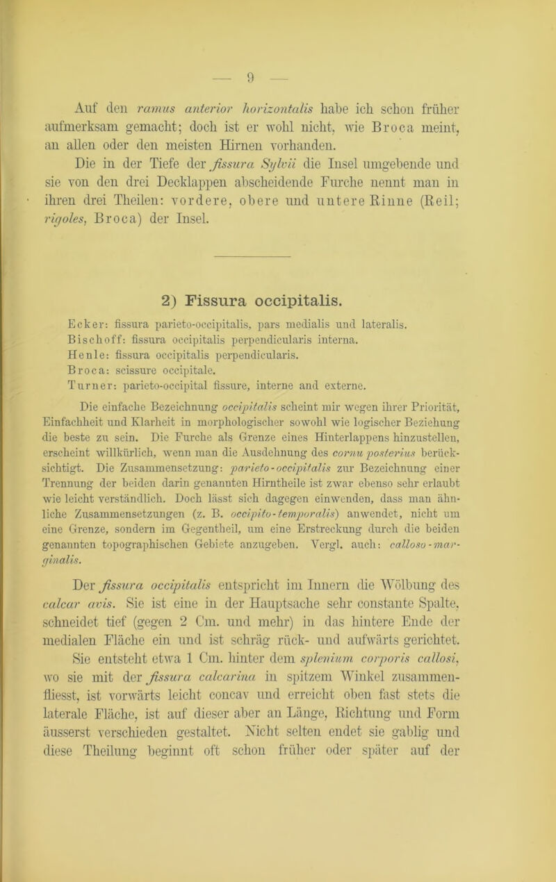 Auf den ramus anterior horizontalis habe ich schon früher aufmerksam gemacht; doch ist er wohl nicht, nie Broca meint, au allen oder den meisten Hirnen vorhanden. Die in der Tiefe der fissura Sylvii die Insel umgehende und sie von den drei Decklappen ahscheidende Furche nennt man in ihren drei Theilen: vordere, obere und untere Rinne (Reil; rir/oles, Broca) der Insel. 2) Fissura occipitalis. Ecker: fissura parieto-occipitalis, pars medialis und lateralis. Bischoff: fissura occipitalis perpendicularis interna. He nie: fissura occipitalis perpendicularis. Broca: scissure occipitale. Turner-, parieto-occipital fissure, interne and externe. Die einfache Bezeichnung occipitalis scheint mir wegen ihrer Priorität, Einfachheit und Klarheit in morphologischer sowohl wie logischer Beziehung die beste zu sein. Die Furche als Grenze eines Hinterlappens hinzustellen, erscheint willkürlich, wenn man die Ausdehnung des cornu posterius berück- sichtigt. Die Zusammensetzung: parieto-occipitalis zur Bezeichnung einer Trennung der beiden darin genannten Hirntheile ist zwar ebenso sehr erlaubt wie leicht verständlich. Doch lässt sich dagegen einwenden, dass man ähn- liche Zusammensetzungen (z. B. occipito-temporalis) anwendet, nicht um eine Grenze, sondern im Gegentheil, um eine Erstreckung durch die beiden genannten topographischen Gebiete anzugeben. Vergl. auch: calloso-mar- tjinalis. Der fissura occipitalis entspricht im Innern die Wölbung des calcar avis. Sie ist eine in der Hauptsache sehr constante Spalte, schneidet tief (gegen 2 Cm. und mehr) in das hintere Ende der medialen Fläche ein und ist schräg rück- und aufwärts gerichtet. Sie entsteht etwa 1 Cm. hinter dem splenium corporis callosi, wo sie mit der fissura calcarina in spitzem Winkel zusammen- fliesst, ist vorwärts leicht coiicav und erreicht oben fast stets die laterale Fläche, ist auf dieser aber an Länge, Richtung und Form äusserst verschieden gestaltet. Nicht selten endet sie gablig imd diese Theilung beginnt oft schon früher oder später auf der