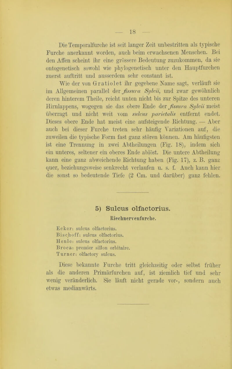Die Temporalfurche ist seit langer Zeit unbestritten als typische Furche anerkannt worden, auch beim erwachsenen Menschen. Bei den Alien scheint ihr eine grössere Bedeutung zuzukommen, da sie ontogenetisch sowohl wie phylogenetisch unter den Hauptfurchen zuerst auftritt und ausserdem sehr constant ist. Wie der von Gratiolet ihr gegebene Name sagt, verläuft sie im Allgemeinen parallel der fissura Sylnii, und zwar gewöhnlich deren hinterem Theile, reicht unten nicht Ins zur Spitze des unteren Hirnlappens, wogegen sie das obere Ende der fissura Si/lvii meist überragt und nicht weit vom sulcus parietalis entfernt endet. Dieses obere Ende hat meist eine aufsteigende Dichtung. — Aber auch bei dieser Furche treten sehr häufig Variationen auf, die zuweilen die typische Form fast ganz stören können. Am häufigsten ist eine Trennung in zwei Abtheilungen (Fig. 18), indem sich ein unteres, seltener ein oberes Ende ablöst. Die untere Abtheilung kann eine ganz abweichende Richtung haben (Fig. 17), z. B. ganz quer, beziehungsweise senkrecht verlaufen u. s. f. Auch kann hier die sonst so bedeutende Tiefe (2 Cm. und darüber) ganz fehlen. 5) Sulcus olfactorius. Rieclmervenfnrche. Ecker: sulcus olfactorius. Bischoff: sulcus olfactorius. Heule-, sulcus olfactorius. Broca-. preraier sillon orbitaire. Turner: olfactory sulcus. Diese bekannte Furche tritt gleichzeitig oder selbst früher als die anderen Primärfurchen auf, ist ziemlich tief und sehr wenig veränderlich. Sie läuft nicht gerade vor-, sondern auch etwas medianwärts.