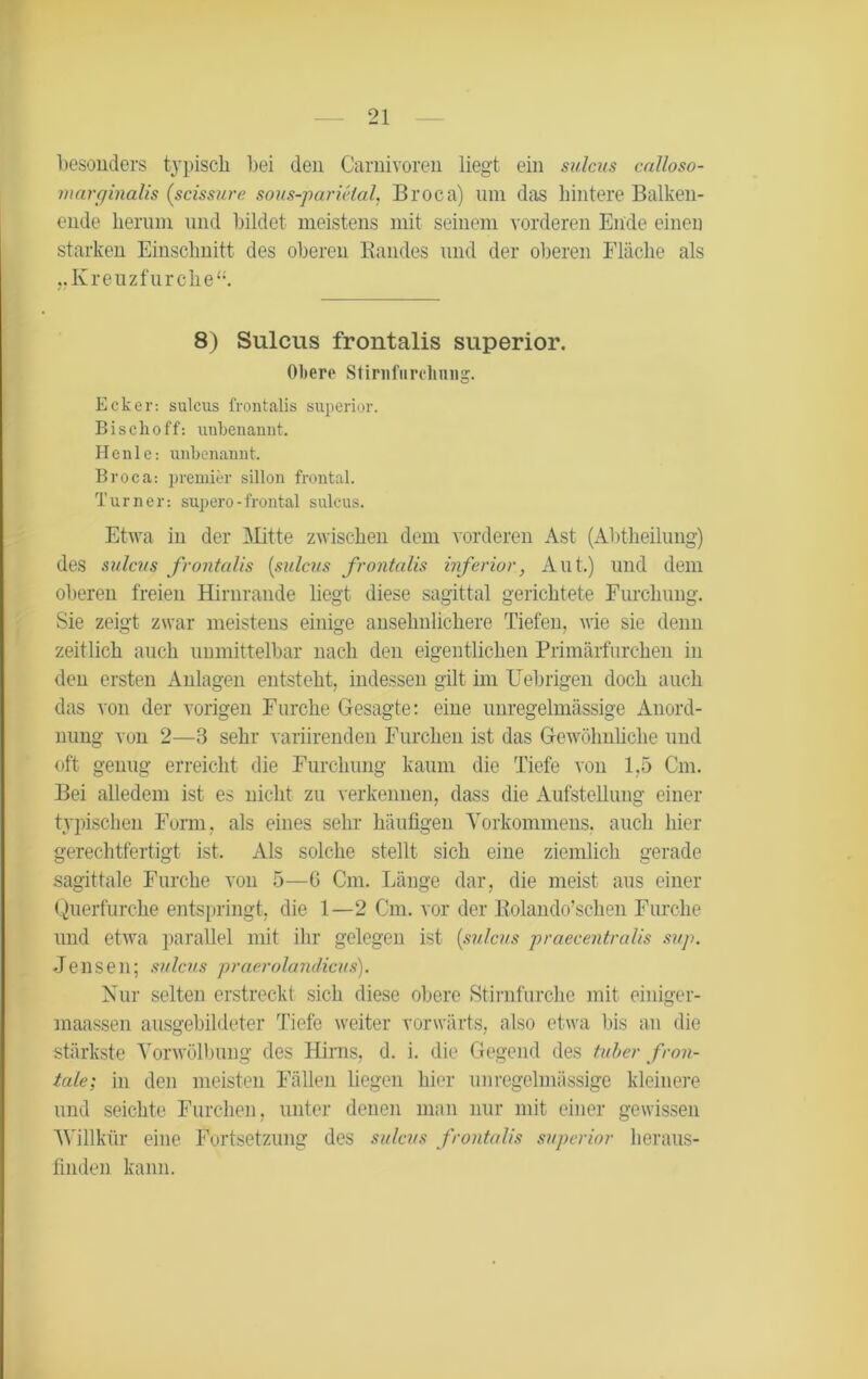 besonders typisch bei den Carnivoren liegt ein sulcus calloso- marginalis (scissure sous-parielal, Broea) um das hintere Balken- ende herum und bildet meistens mit seinem vorderen Ende eineu starken Einschnitt des oberen Randes und der oberen Fläche als „Kreuzfurche“. 8) Sulcus frontalis superior. Obere Stiriifiircliung. Ecker: sulcus frontalis superior. Bischoff: unbenannt. Henle: unbenannt. Broca: premier sillon frontal. Turner: supero-frontal sulcus. Etwa in der Mitte zwischen dem vorderen Ast (Abtheilung) des sulcus frontalis (sulcus frontalis inferior, Aut.) und dem olieren freien Hirnrande liegt diese sagittal gerichtete Furchung. Sie zeigt zwar meistens einige ansehnlichere Tiefen, wie sie denn zeitlich auch unmittelbar nach den eigentlichen Primärfurchen in den ersten Anlagen entsteht, indessen gilt im Uebrigen doch auch das von der vorigen Furche Gesagte: eine unregelmässige Anord- nung von 2—3 sehr variirenden Furchen ist das Gewöhnliche und oft genug erreicht die Furchung kaum die Tiefe von 1,5 Cm. Bei alledem ist es nicht zu verkennen, dass die Aufstellung einer typischen Form, als eines sehr häufigen Vorkommens, auch hier gerechtfertigt ist. Als solche stellt sich eine ziemlich gerade sagittale Furche von 5—6 Cm. Länge dar, die meist aus einer Querfurche entspringt, die 1—2 Cm. vor der Rolando’schen Furche und etwa parallel mit ihr gelegen ist (sulcus praecentralis sup. Jensen; sulcus praerolandicus). Nur selten erstreckt sich diese obere Stirnfurche mit einiger- maassen ausgebildeter Tiefe weiter vorwärts, also etwa bis an die stärkste Vorwölbung des Hirns, d. i. die Gegend des tuber fron- tale; in den meisten Fällen liegen hier unregelmässige kleinere und seichte Furchen, unter denen man nur mit einer gewissen Willkür eine Fortsetzung des sulcus frontalis superior heraus- finden kann.